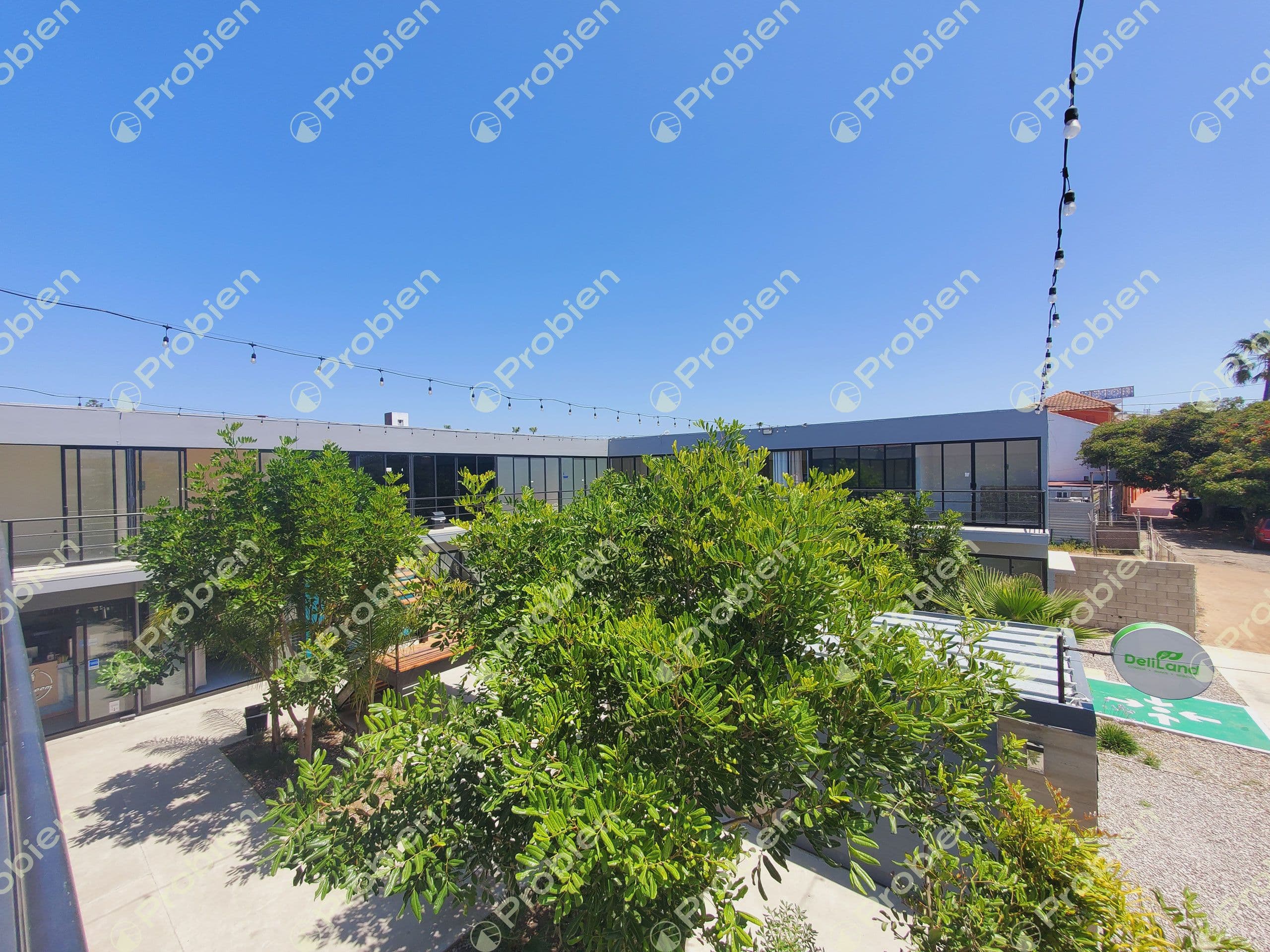 LOCALES EN RENTA - PLAZA PALMEYRAS PLAYAS DE TIJUANA