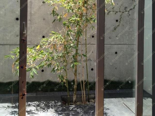 Townhouse en Renta en Privada Espacio Chapultepec – Con Vista Panorámica - Foto 24 de 29