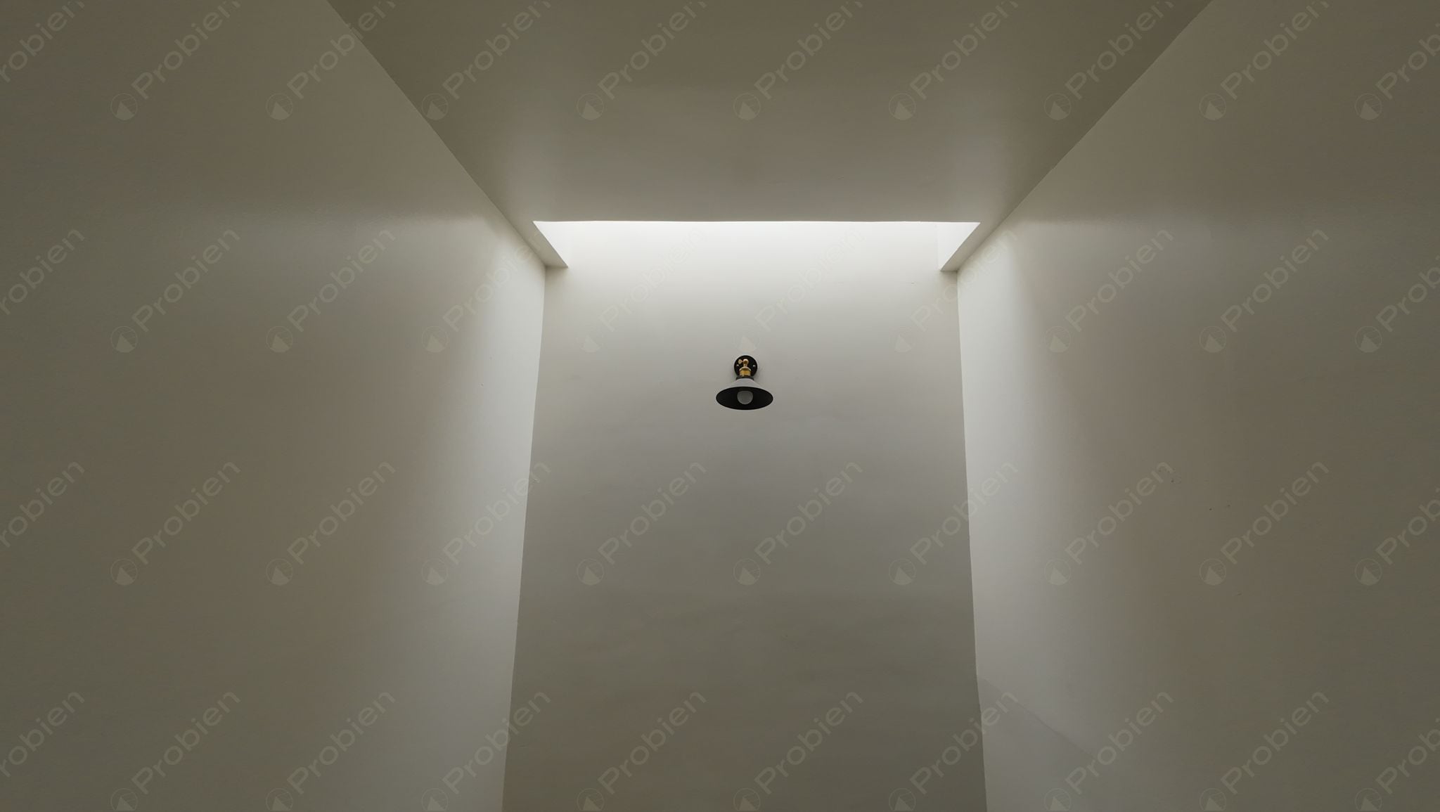 Casa en renta de 3 recámaras en Privada El Lago 19500, con seguridad 24/7 - Foto 4 de 9