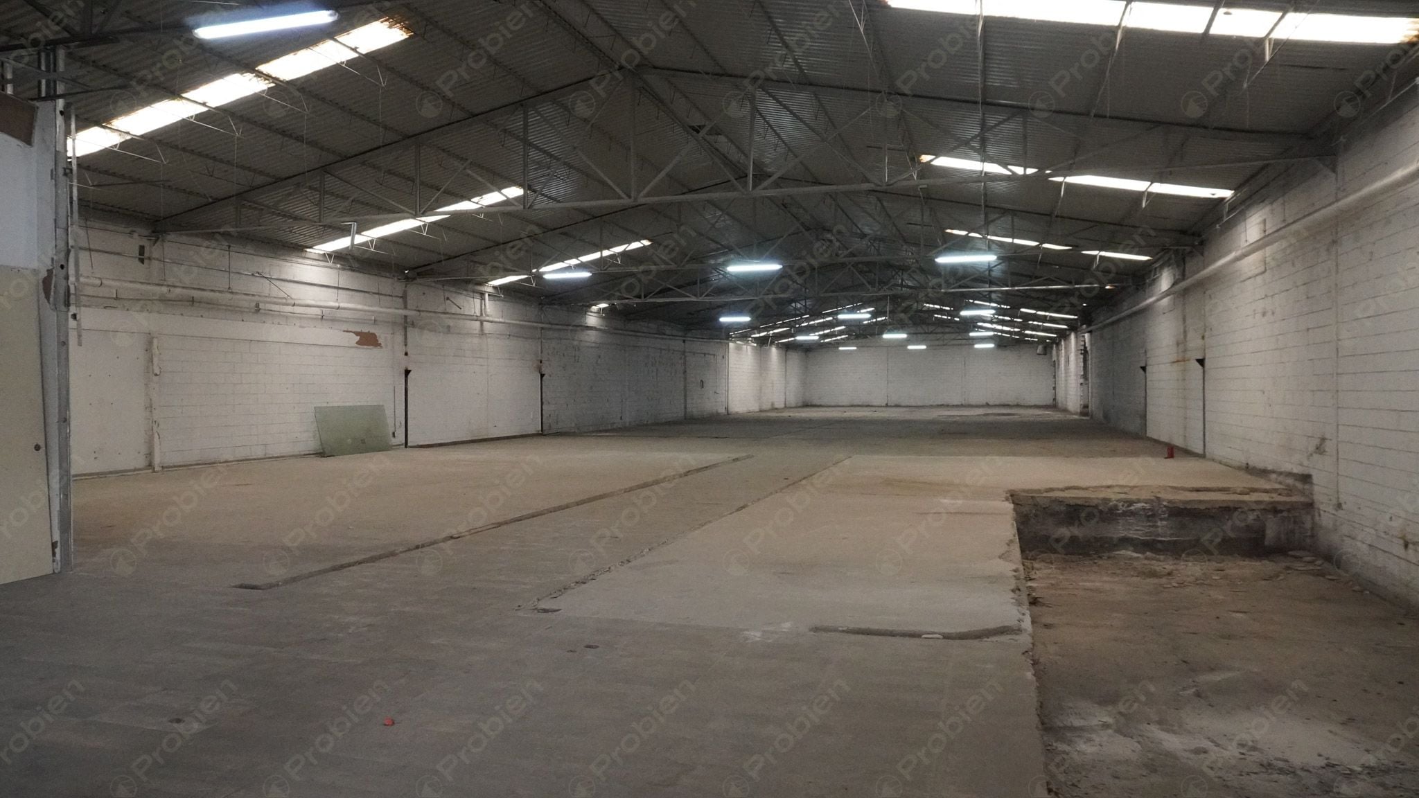 Bodega en renta -  Vía rápida y Blvd. Benítez Dos - Foto 4 de 11