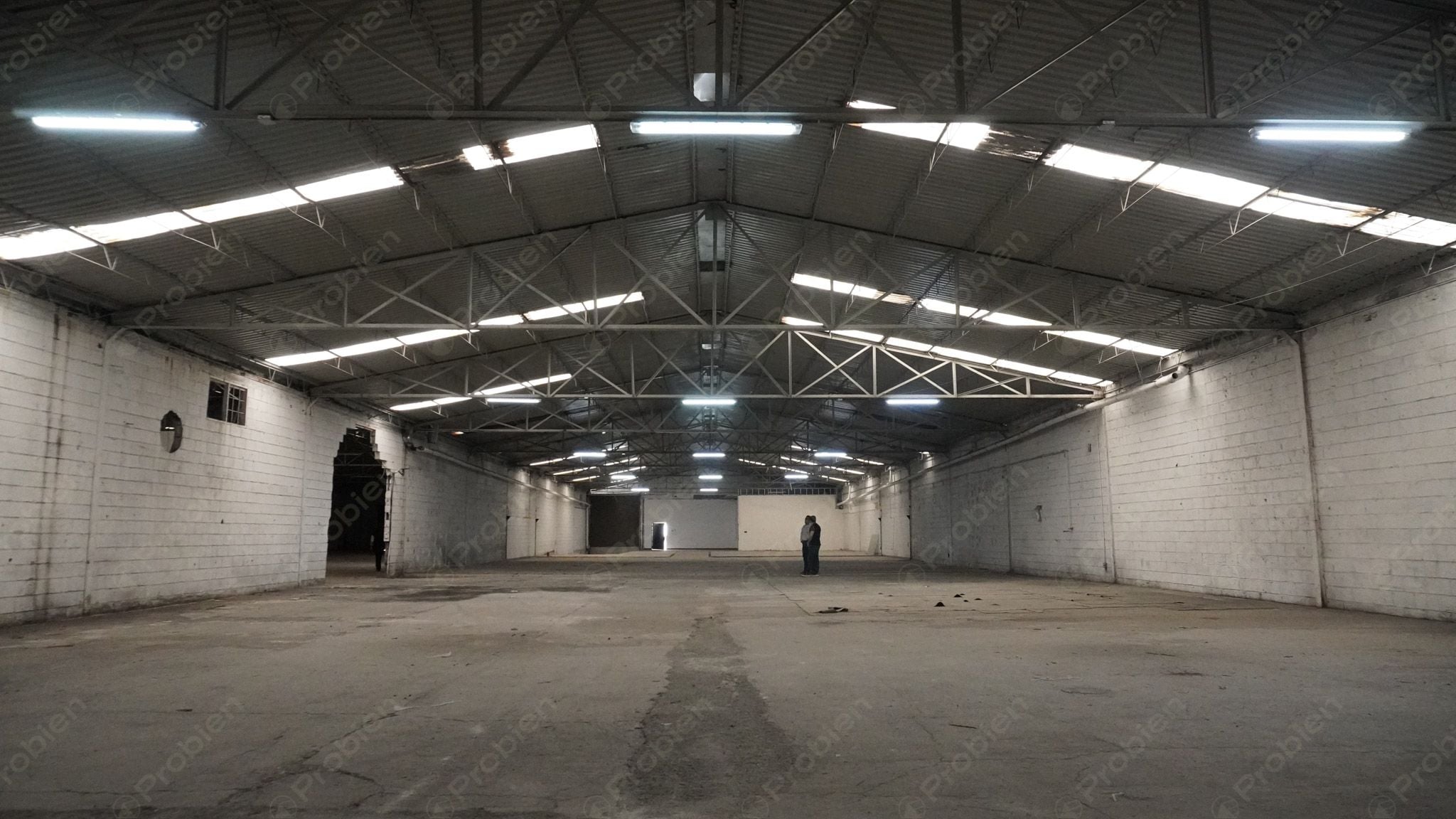 Bodega en renta -  Vía rápida y Blvd. Benítez Dos - Foto 8 de 11