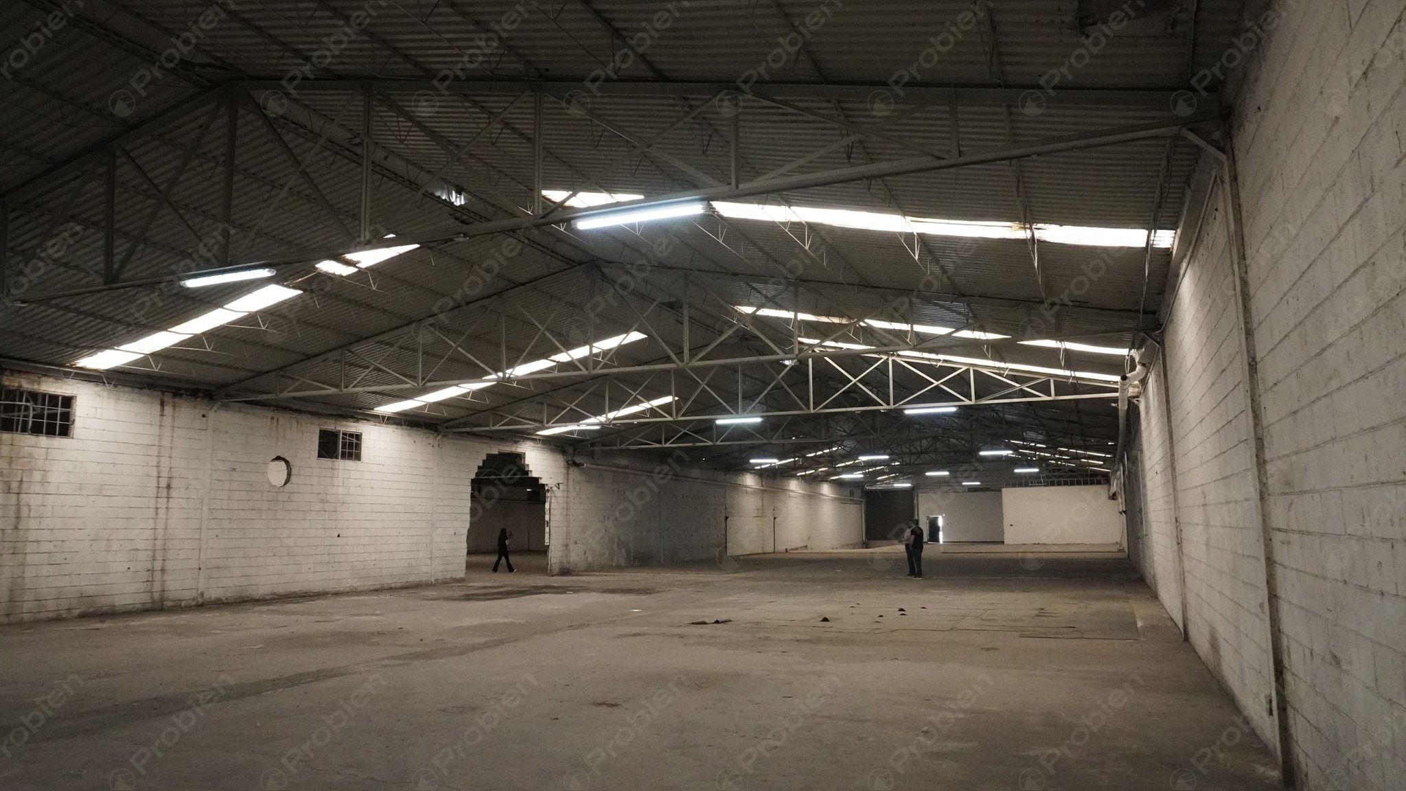 Bodega en renta -  Vía rápida y Blvd. Benítez Dos - Foto 9 de 11