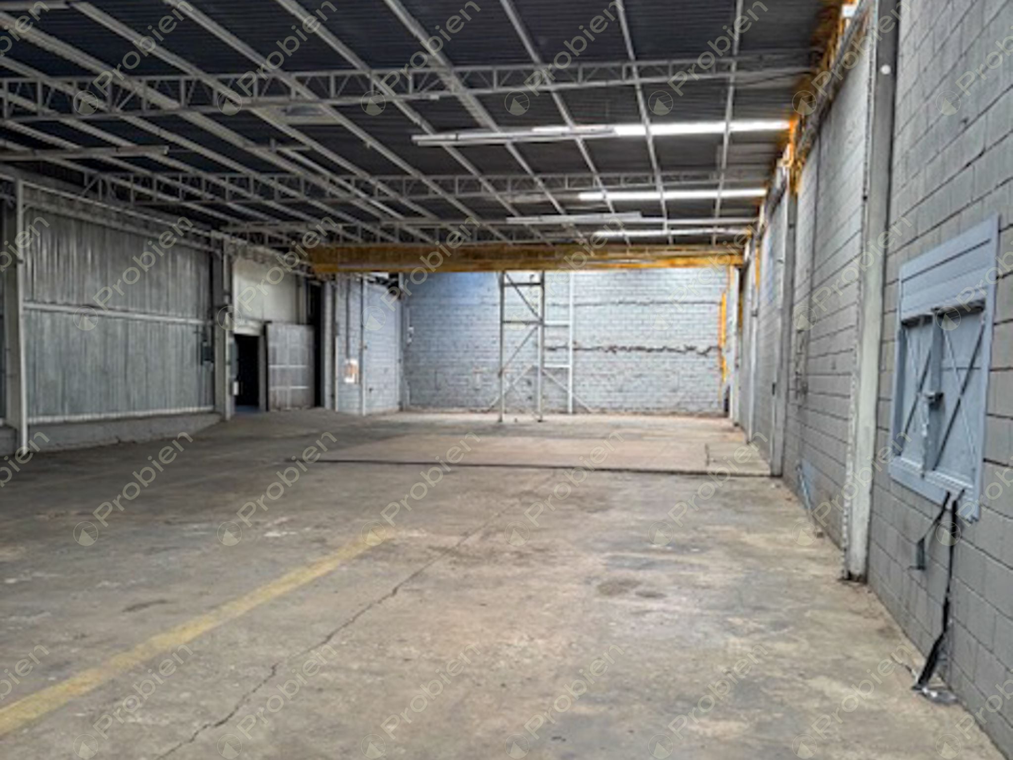 Bodega en Renta de 1,900 m² entre Vía Rápida y Blvd. Benítez - Foto 5 de 11