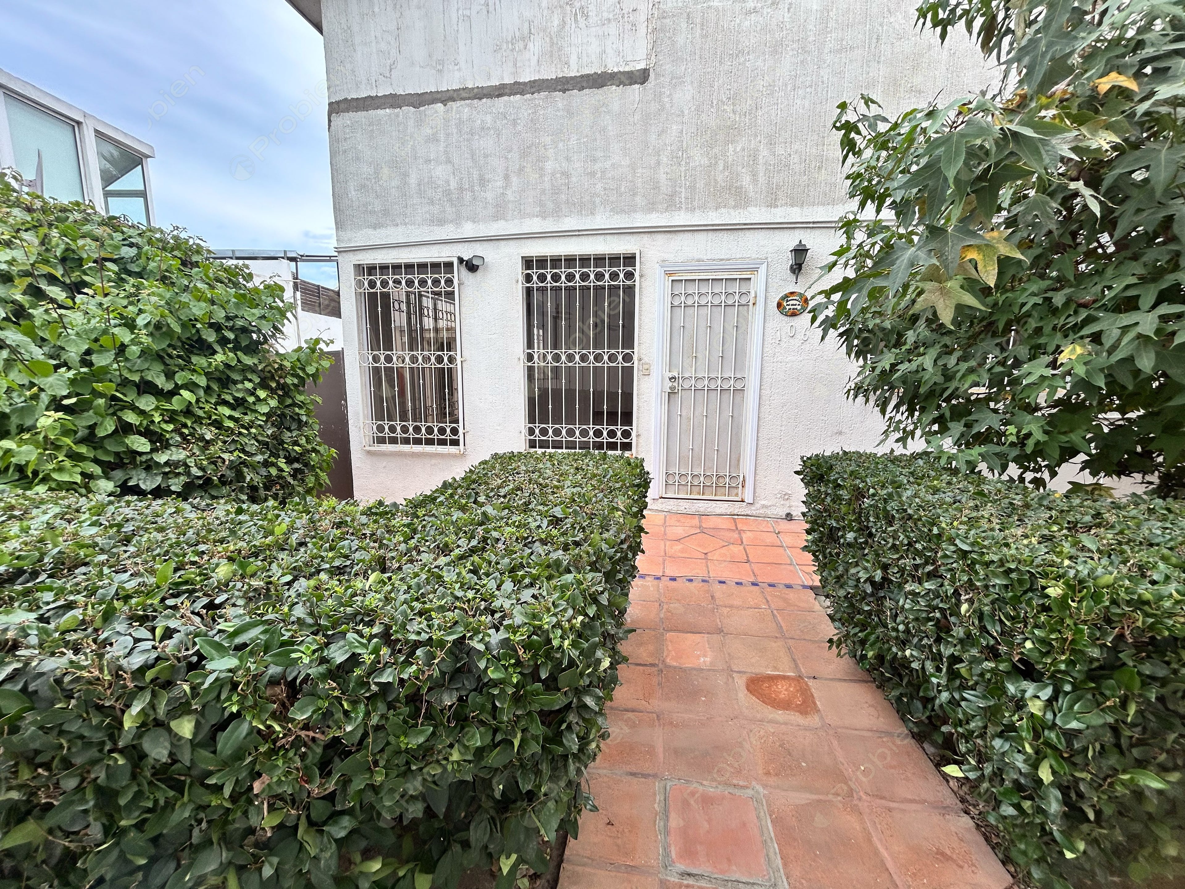 Departamento en Renta en Lomas Doctores – 2 Recámaras, 2 Baños y Estacionamiento Doble - Foto 3 de 18