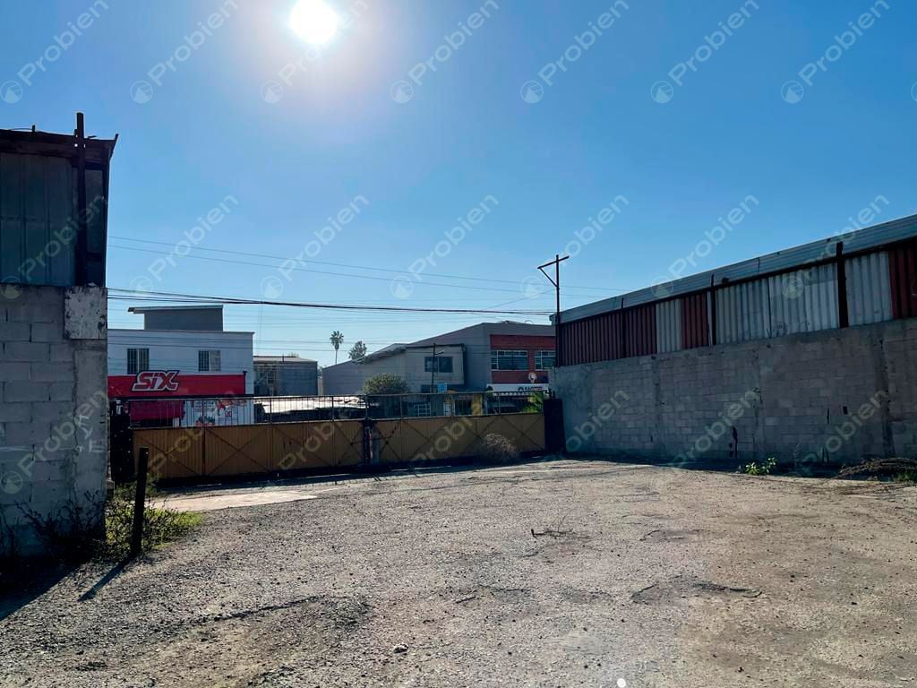 TERRENO EN RENTA EN LA COLONIA 20 DE NOVIEMBRE - Foto 6 de 12