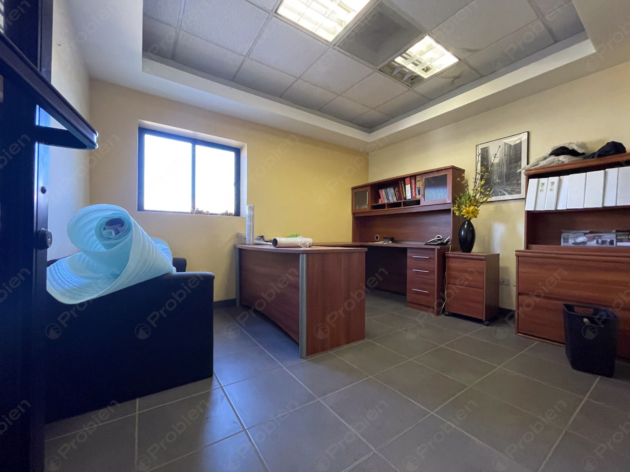 OFICINAS EN RENTA COLONIA 20 DE NOVIEMBRE - Foto 2 de 9