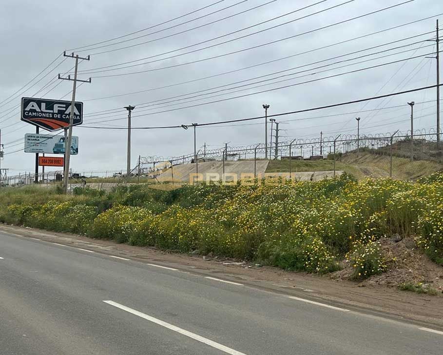 Terreno en Renta - Ojo de agua - Foto 4 de 18