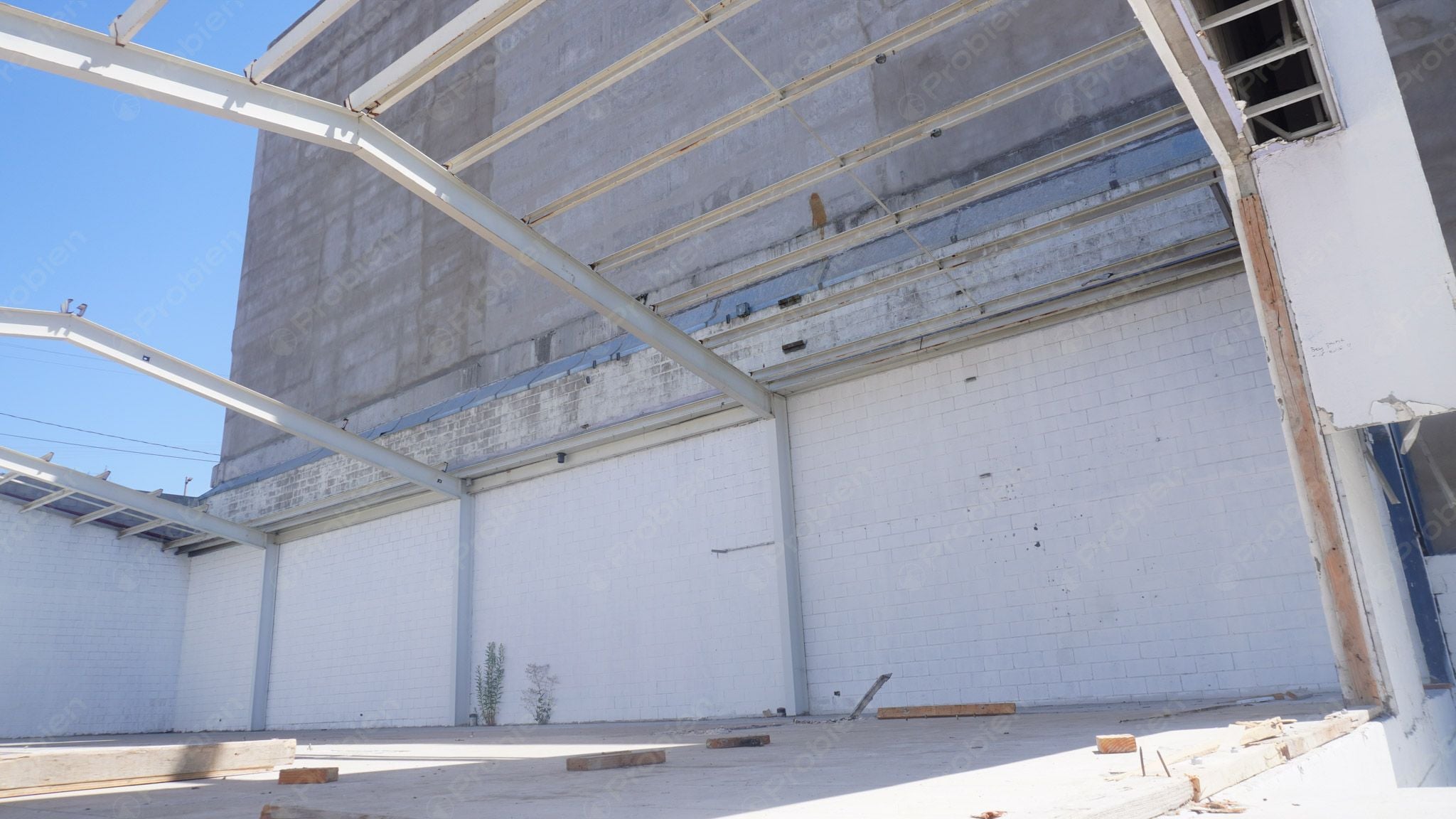 Bodega en Renta en Zona Rio Av Padre Kino - Foto 6 de 15