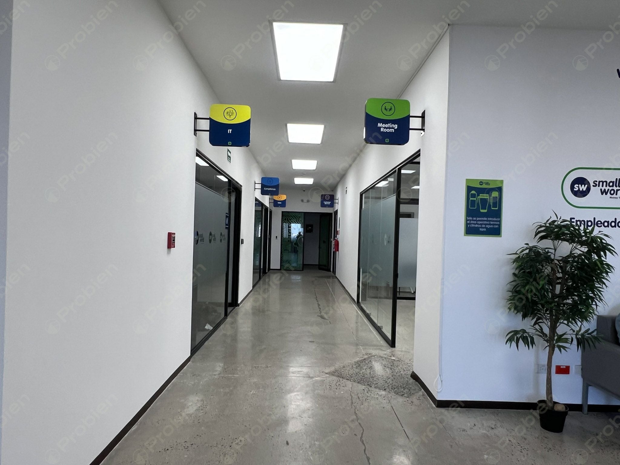 Local en Renta - En Plaza Alameda Otay - Foto 12 de 22