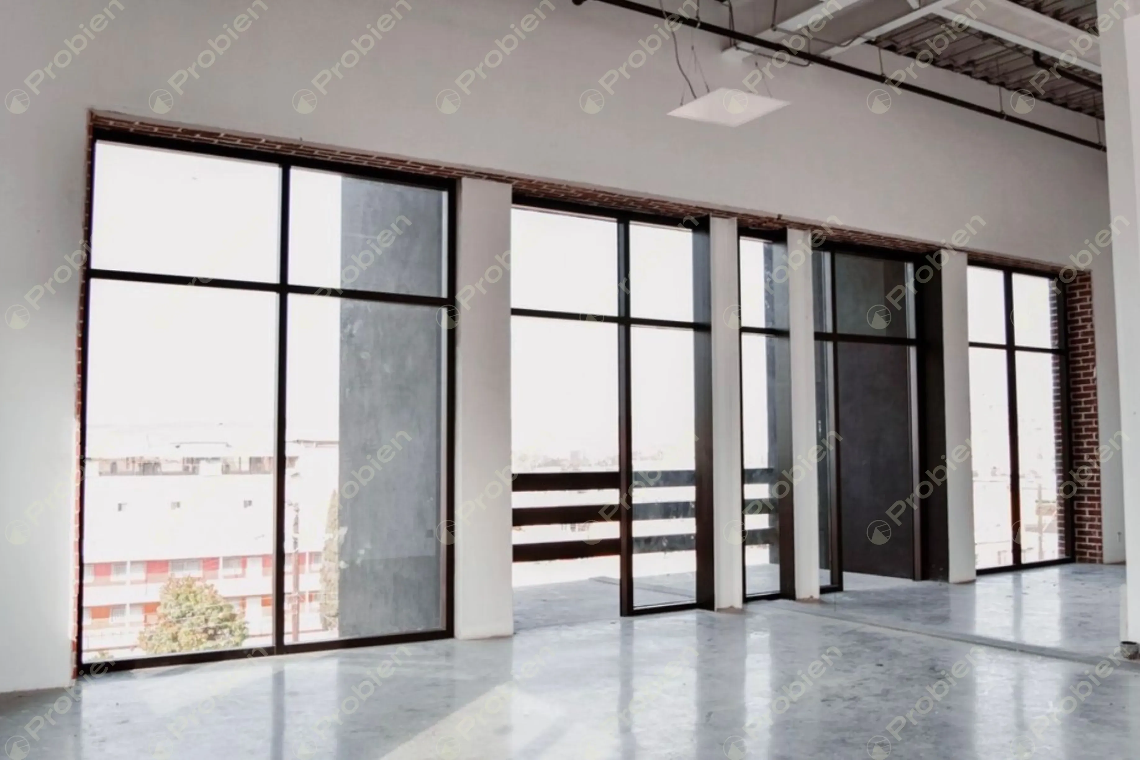 Oficinas en Renta - En Zona Centro - Foto 9 de 27