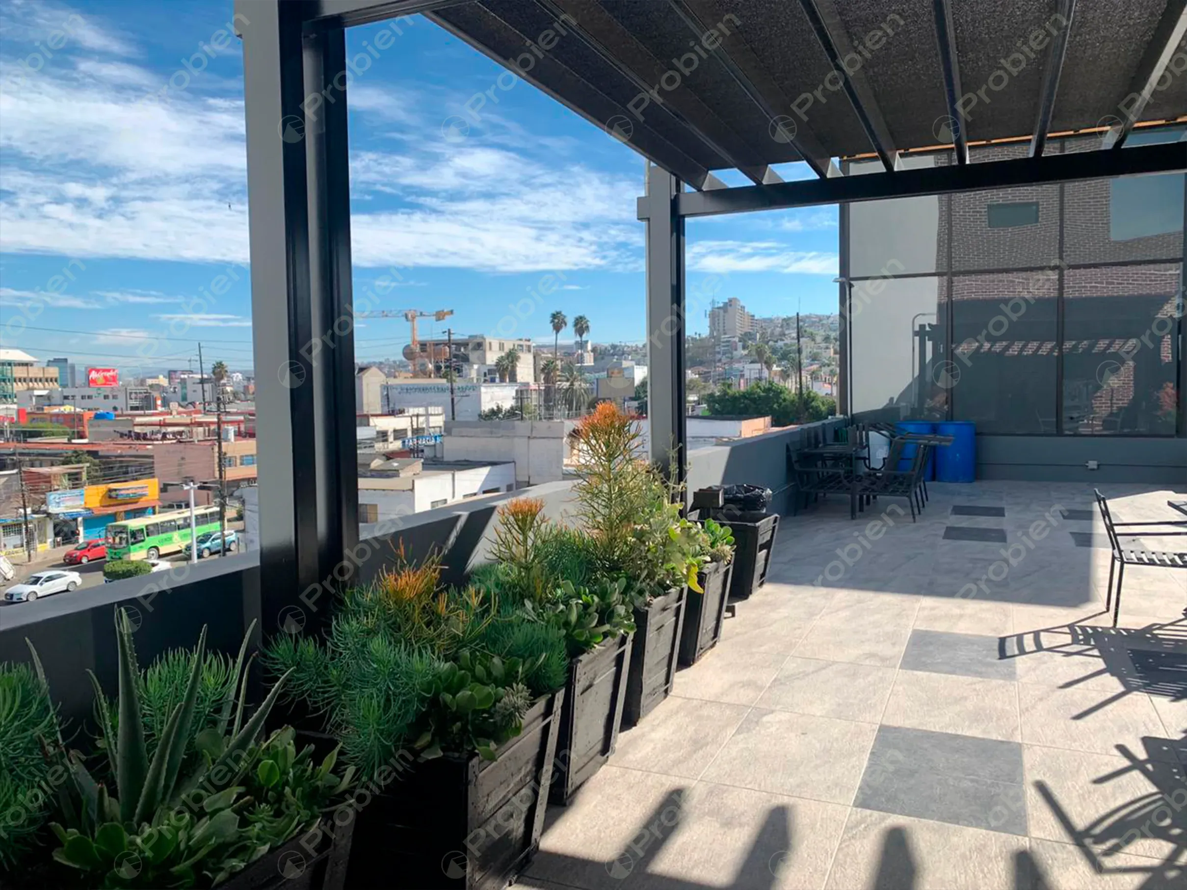 Oficinas en Renta - En Zona Centro - Foto 25 de 27