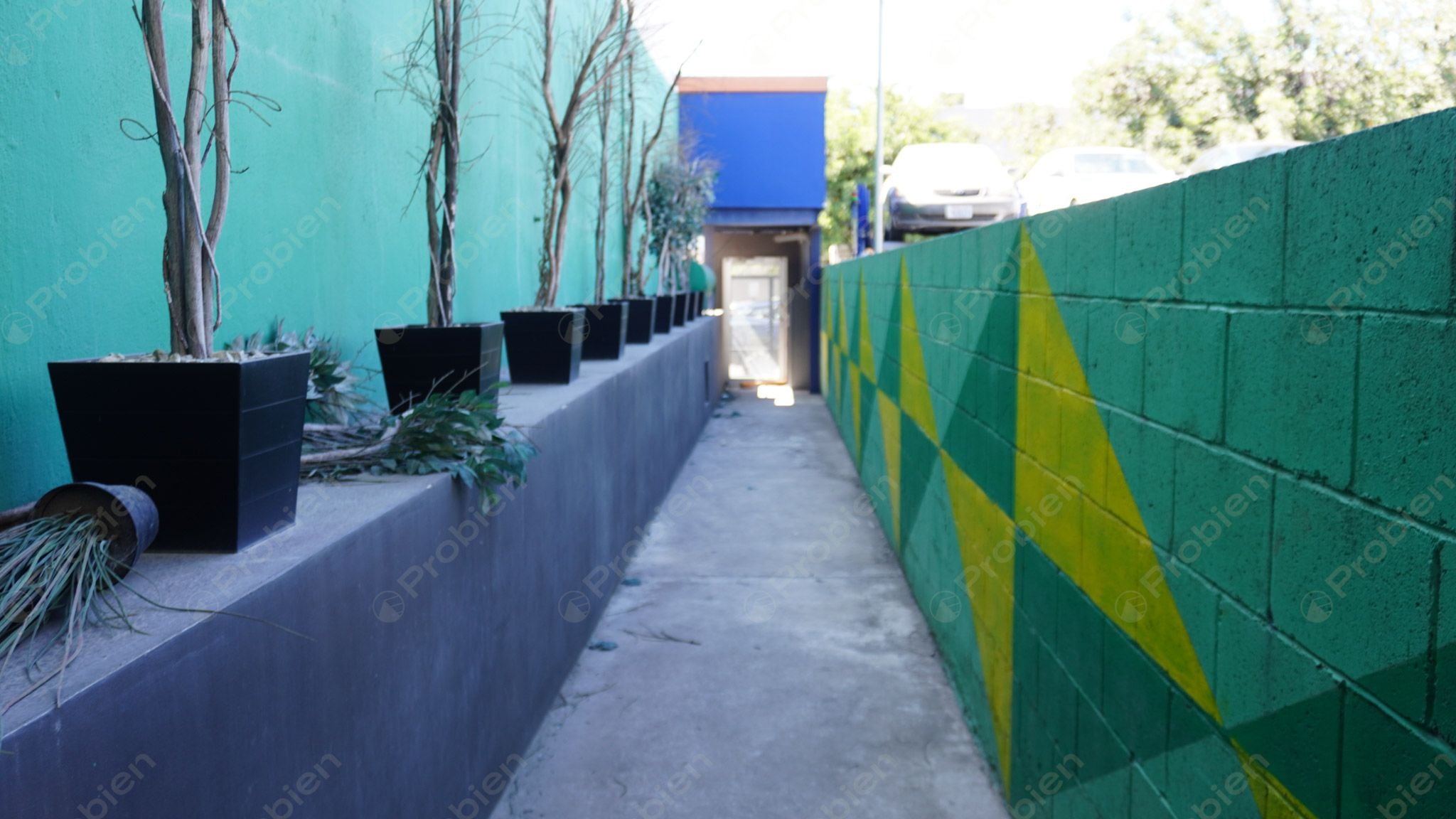 Local Comercial en Renta - En Zona Rio - Foto 3 de 23