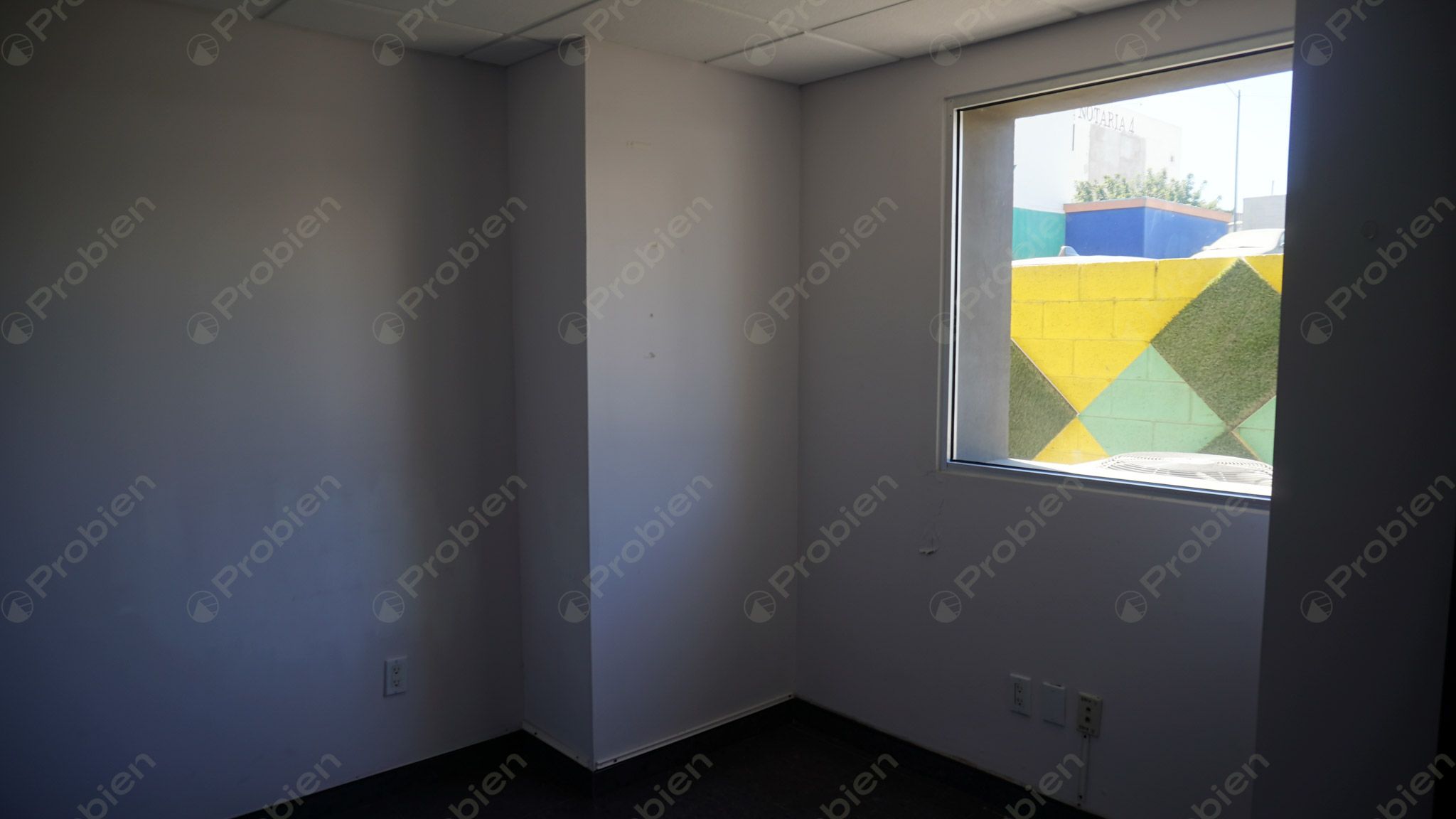 Local Comercial en Renta - En Zona Rio - Foto 13 de 23