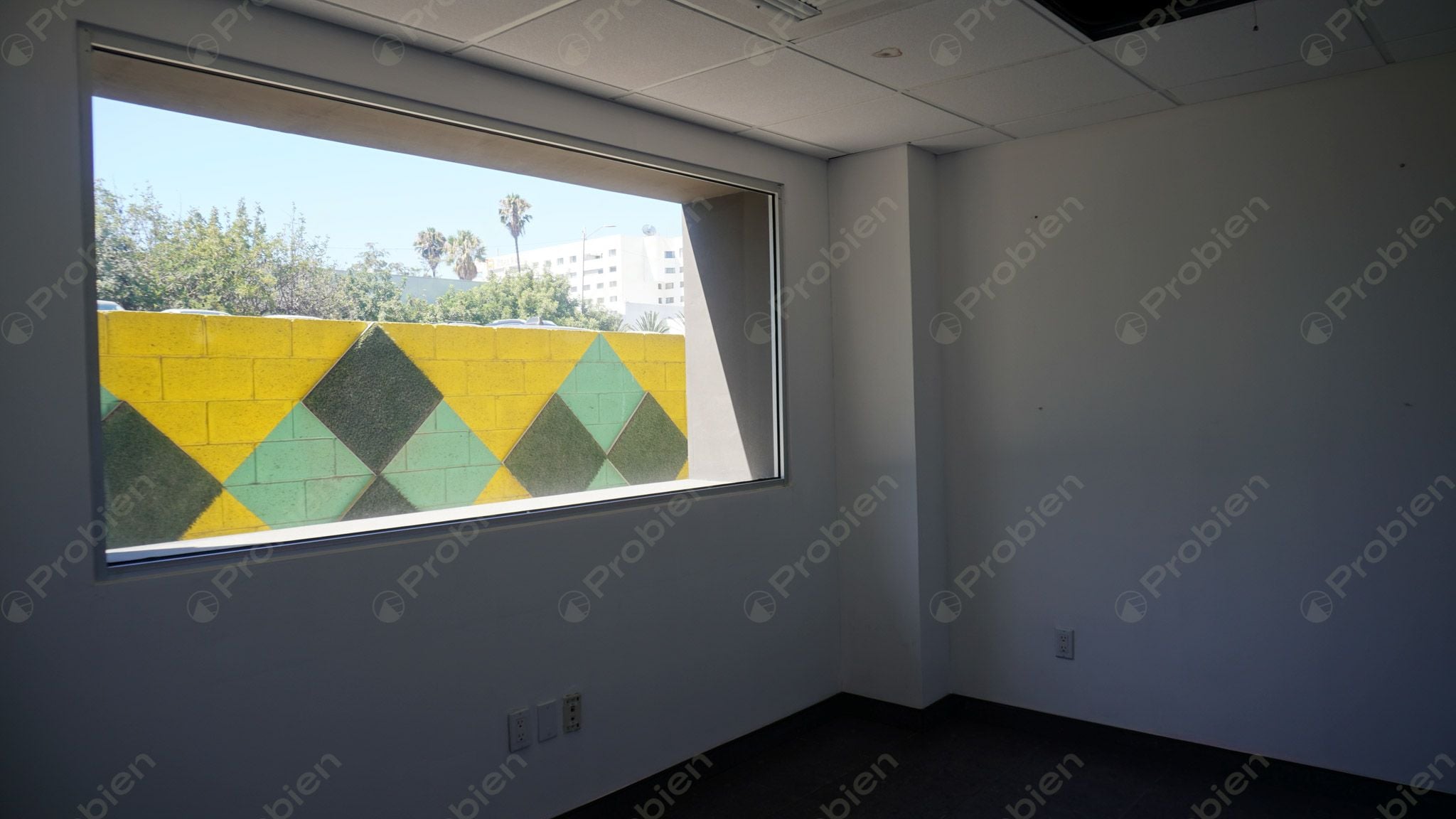 Local Comercial en Renta - En Zona Rio - Foto 22 de 23