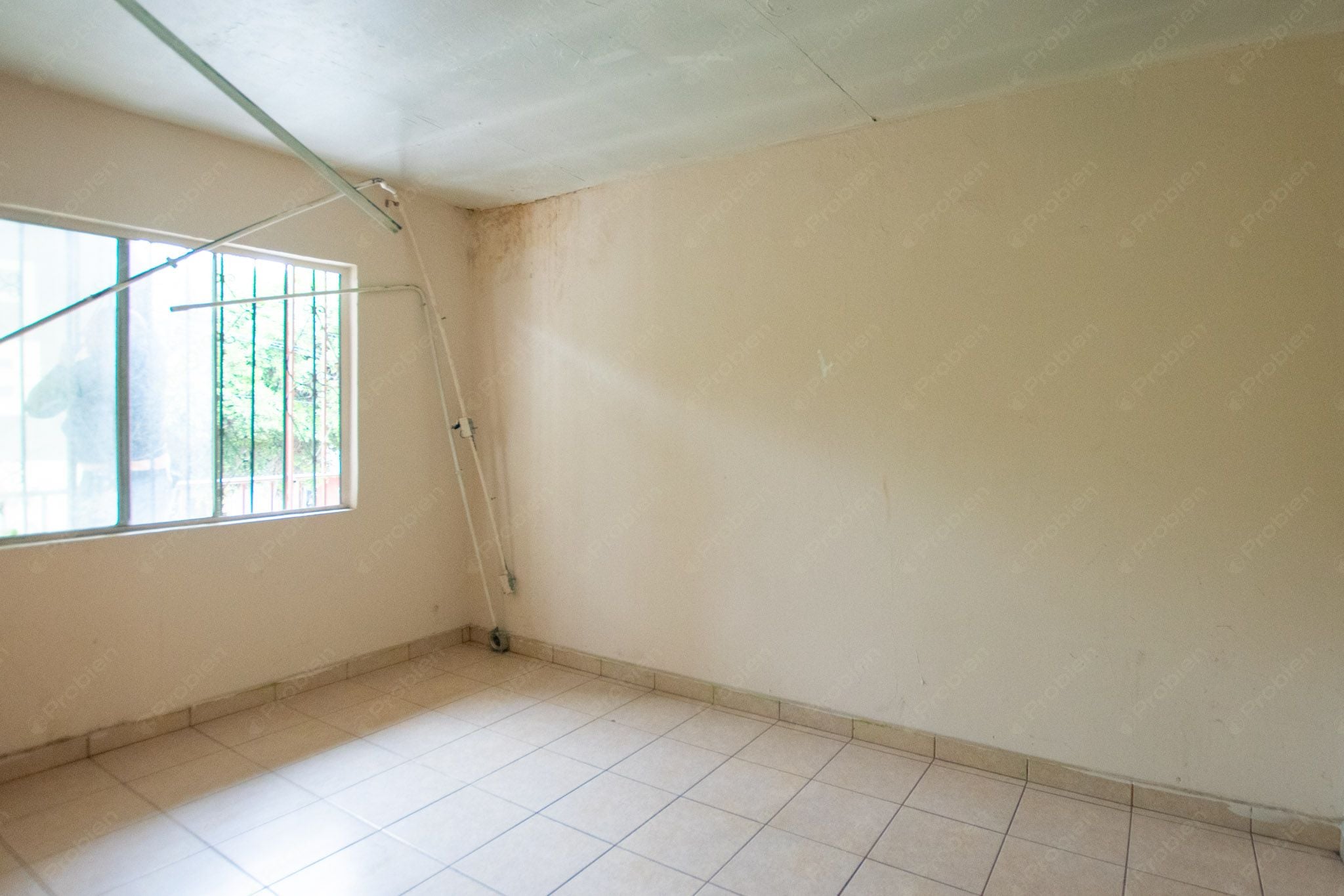 Local Comercial en Renta en Zona Centro - 214 m² - Foto 15 de 19