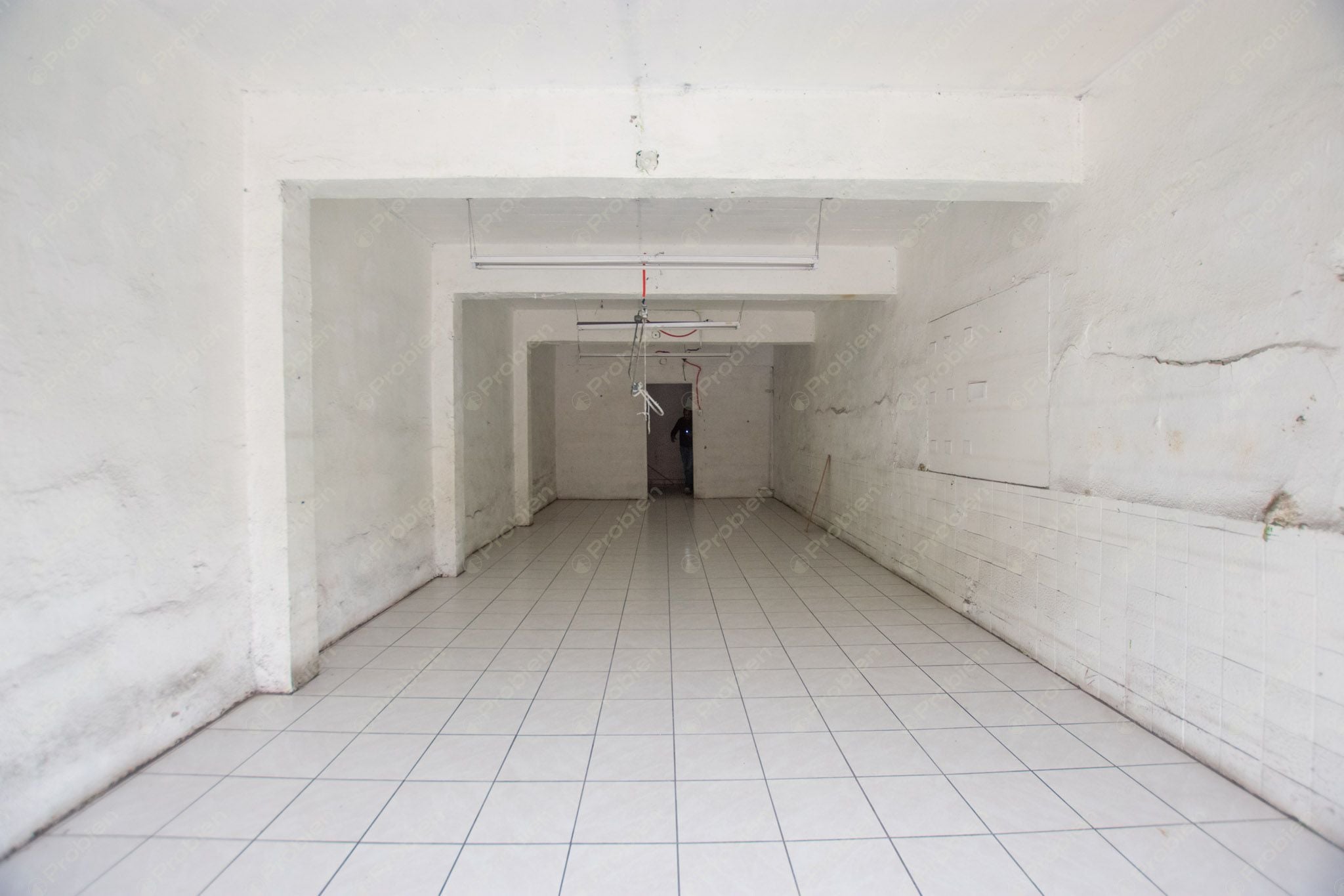 Local Comercial en Renta en Zona Centro - 214 m² - Foto 6 de 19