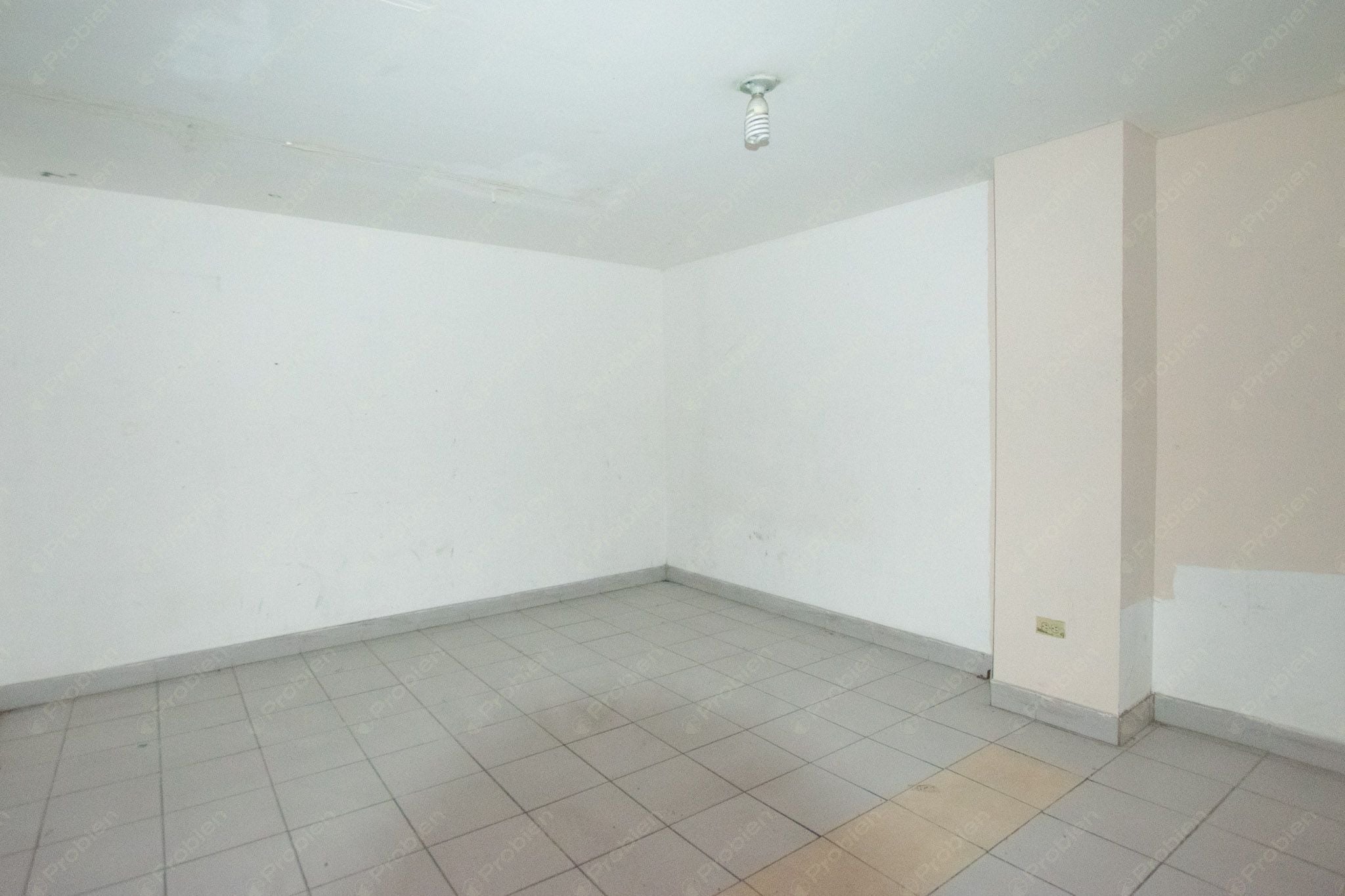 Local Comercial en Renta en Zona Centro - 214 m² - Foto 8 de 19