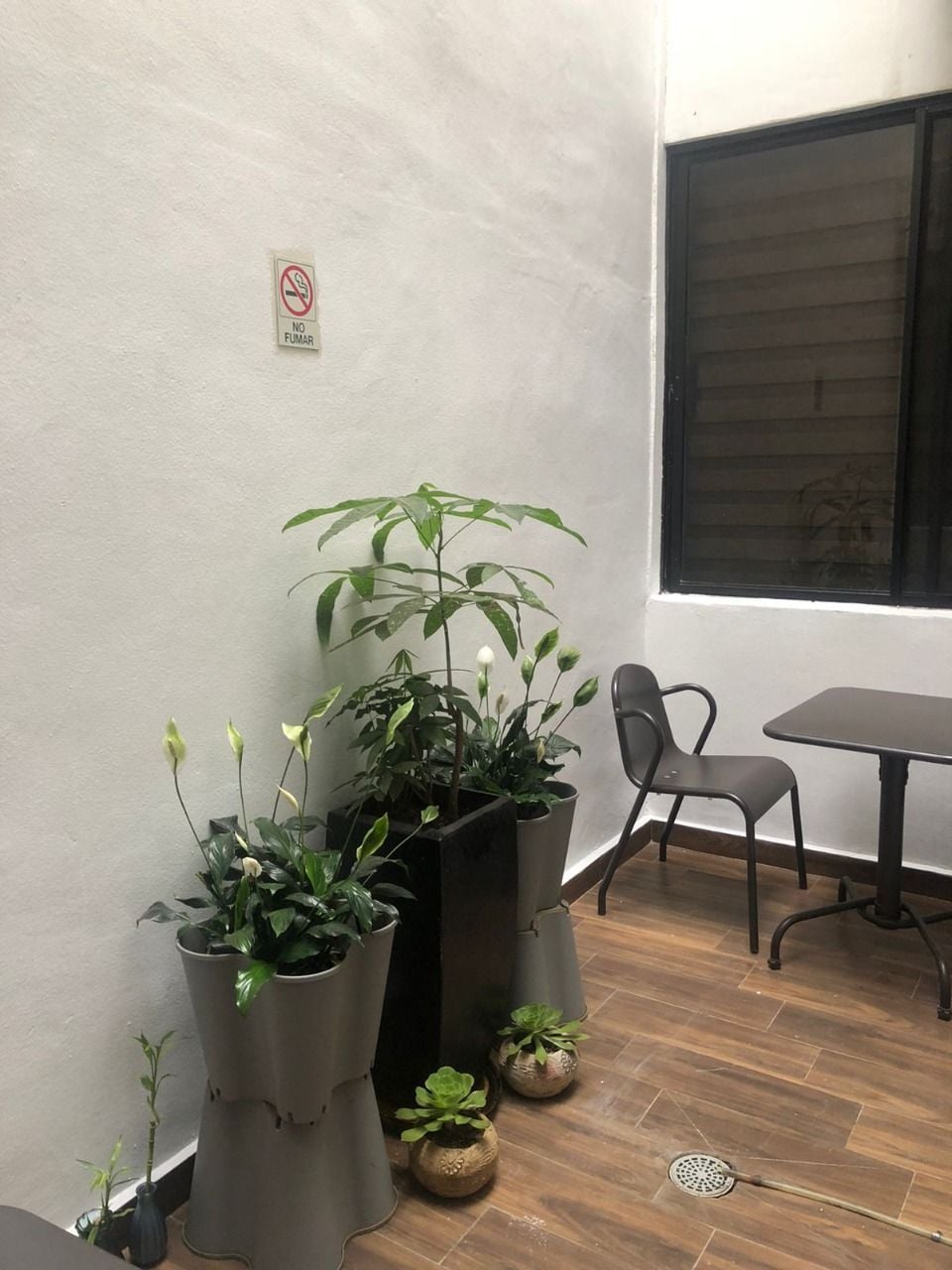 Oficinas en Zona Rio - En Renta - Foto 5 de 15