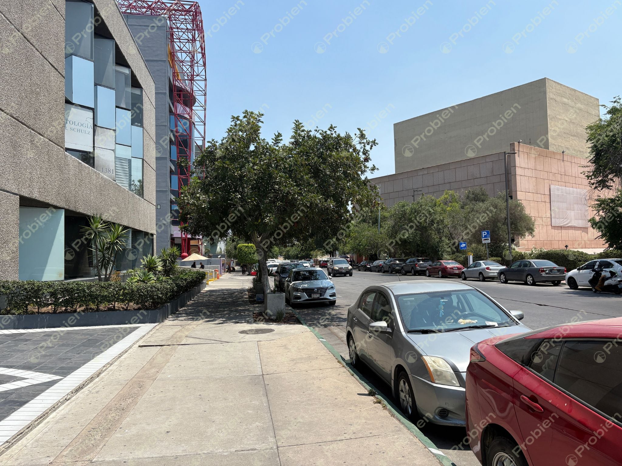 Oficina Penthouse en Renta en Zona Río – Torre MOL con Terraza y Vista Panorámica - Foto 16 de 18