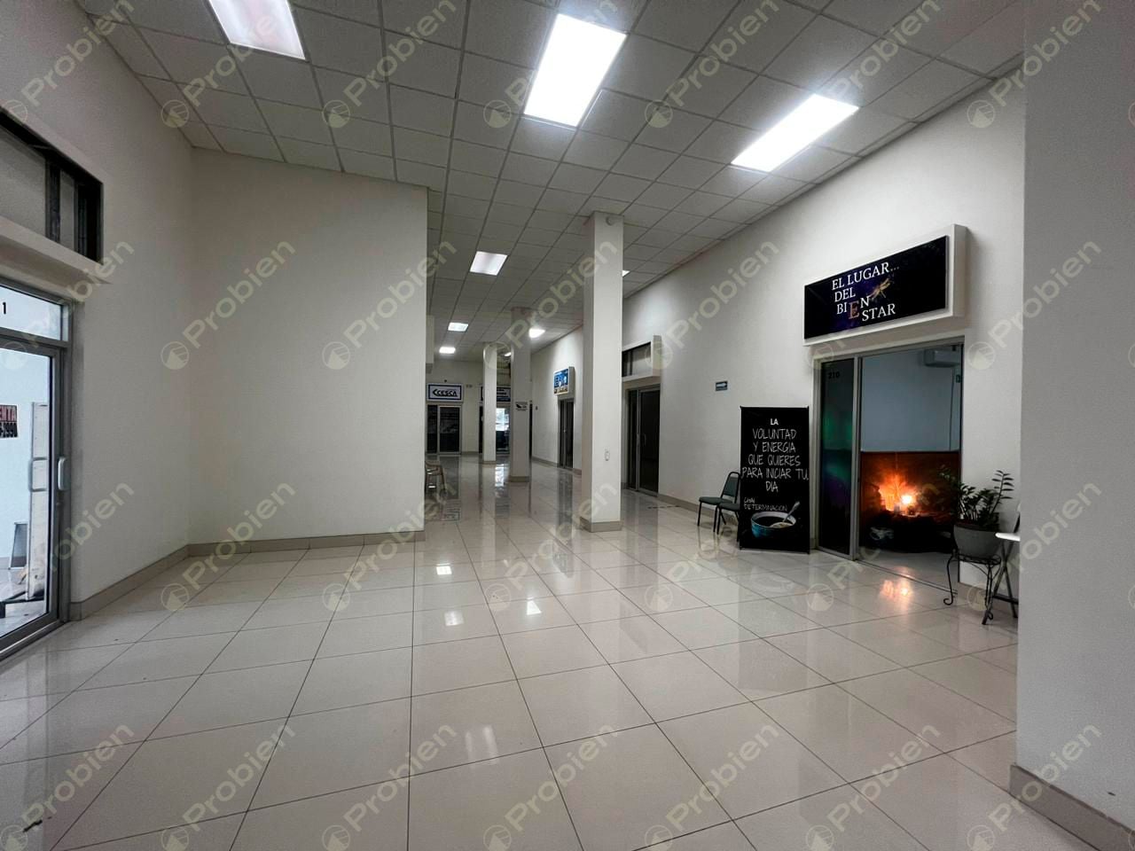 Locales en Renta - Centro Constitución - Foto 4 de 10