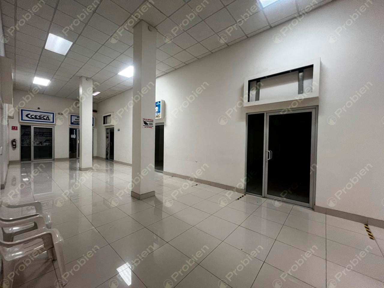 Locales en Renta - Centro Constitución - Foto 5 de 10