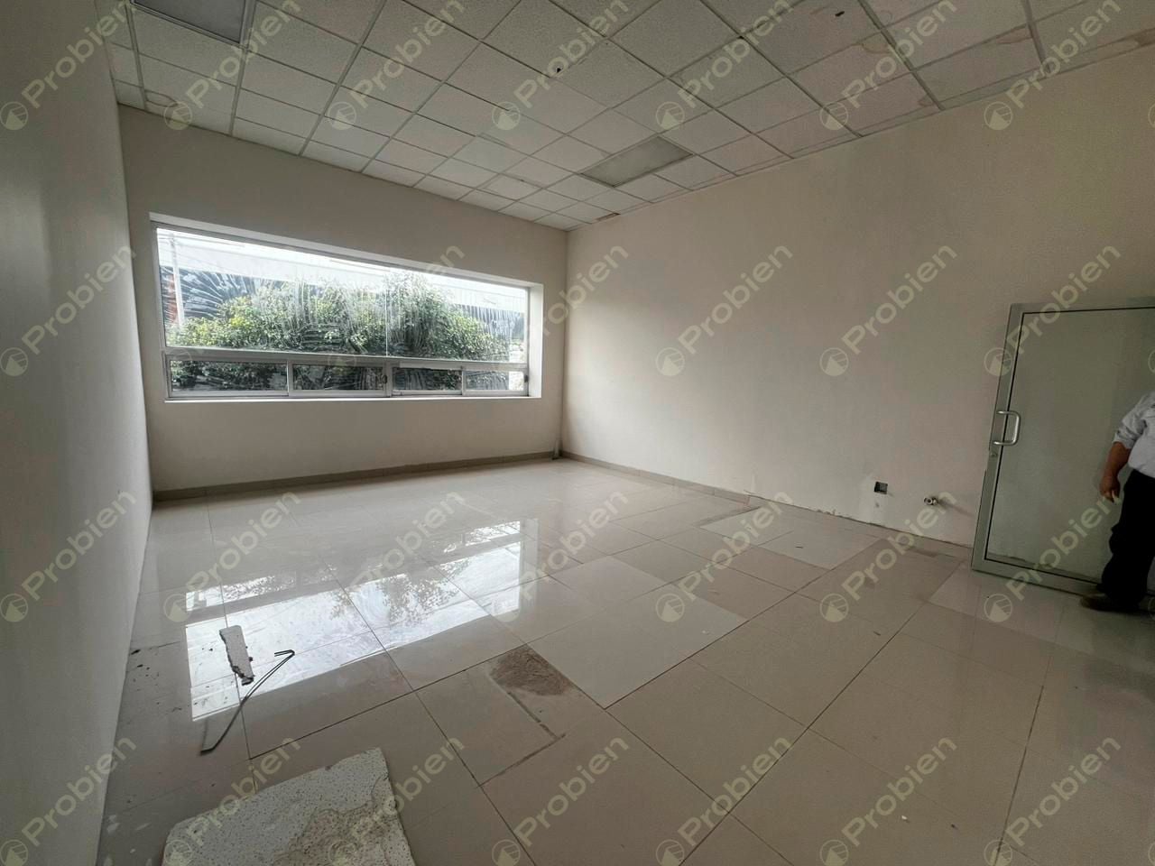 Locales en Renta - Centro Constitución - Foto 8 de 10