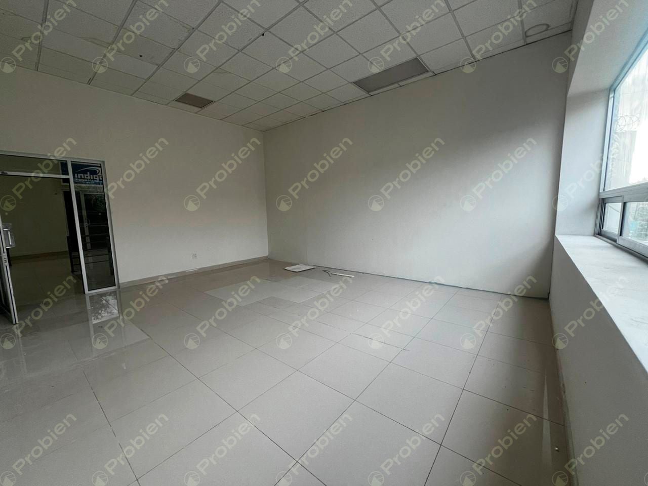 Locales en Renta - Centro Constitución - Foto 10 de 10