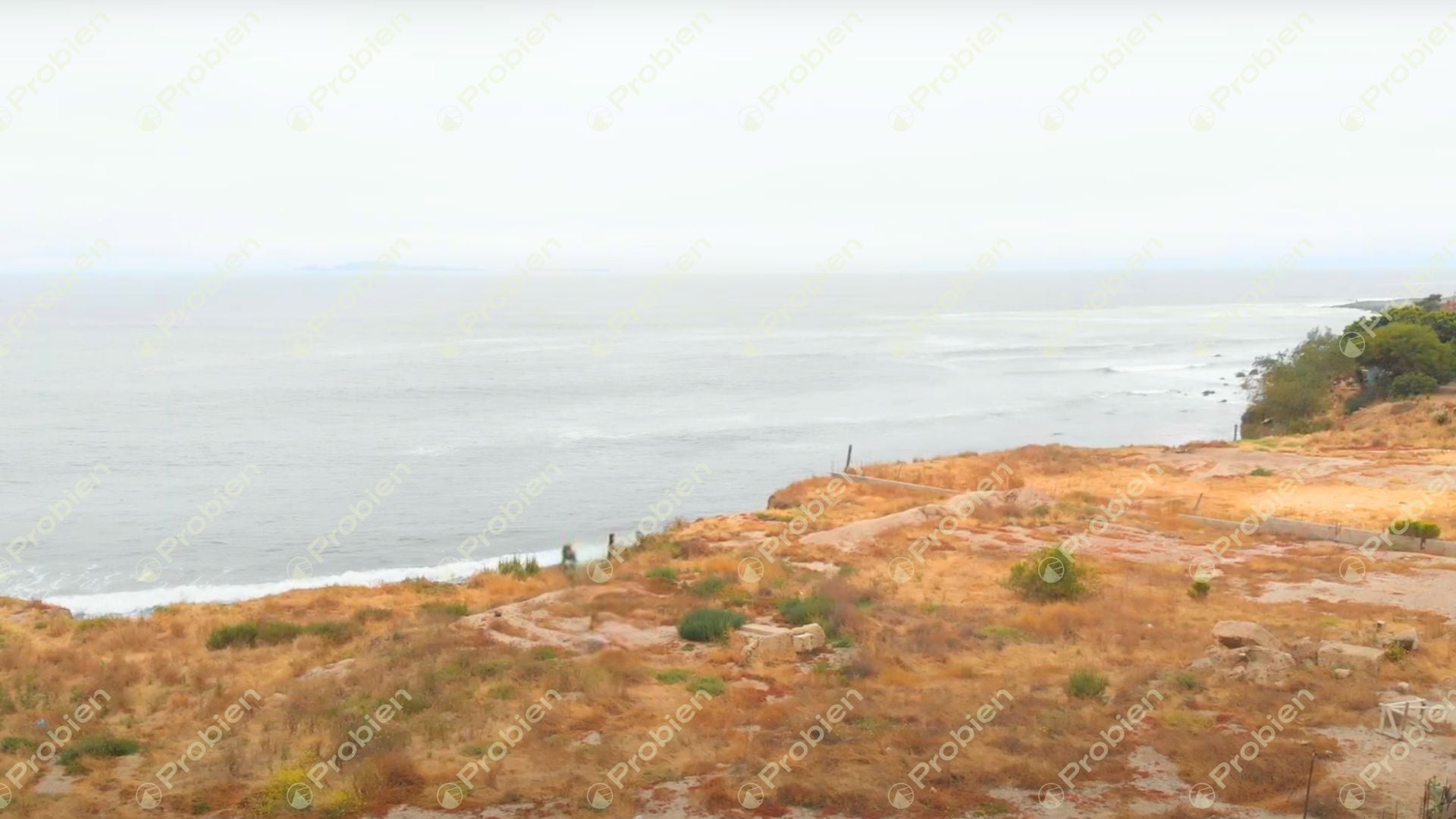 Terreno en Venta - El Sauzal - Foto 3 de 5