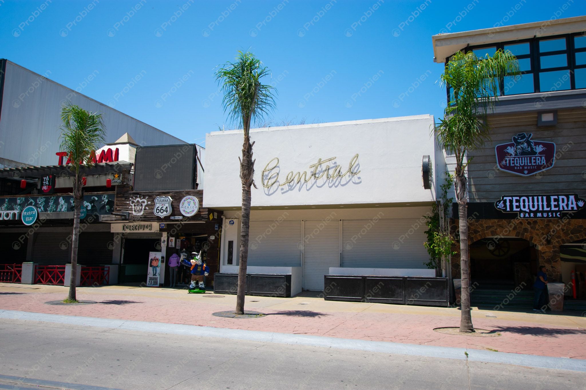 Local Comercial en Renta en Avenida Revolución – ¡Ubicación Estratégica! - Foto 2 de 22