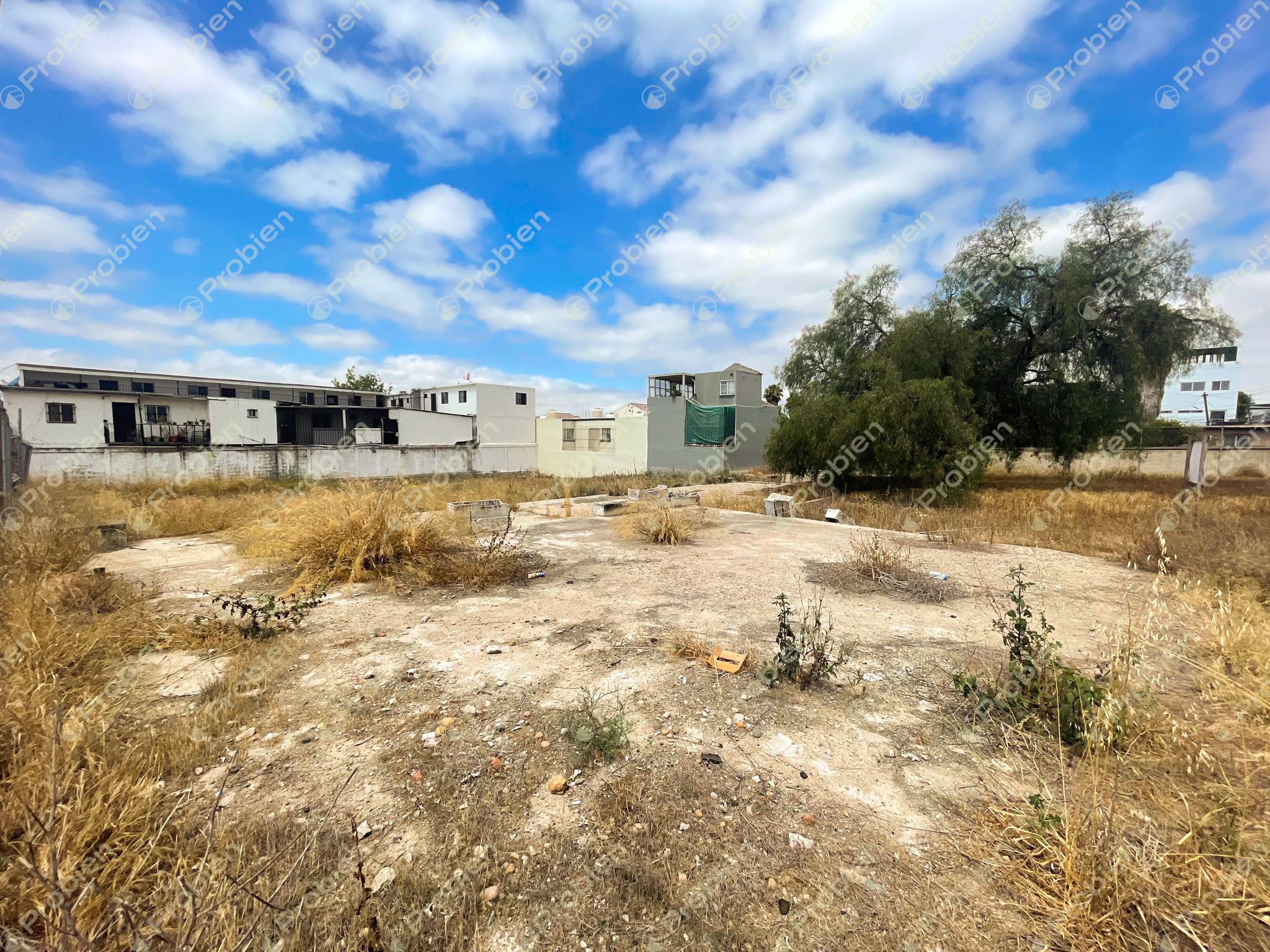 Terreno comercial en Renta - Otay Aeropuerto - Foto 12 de 13