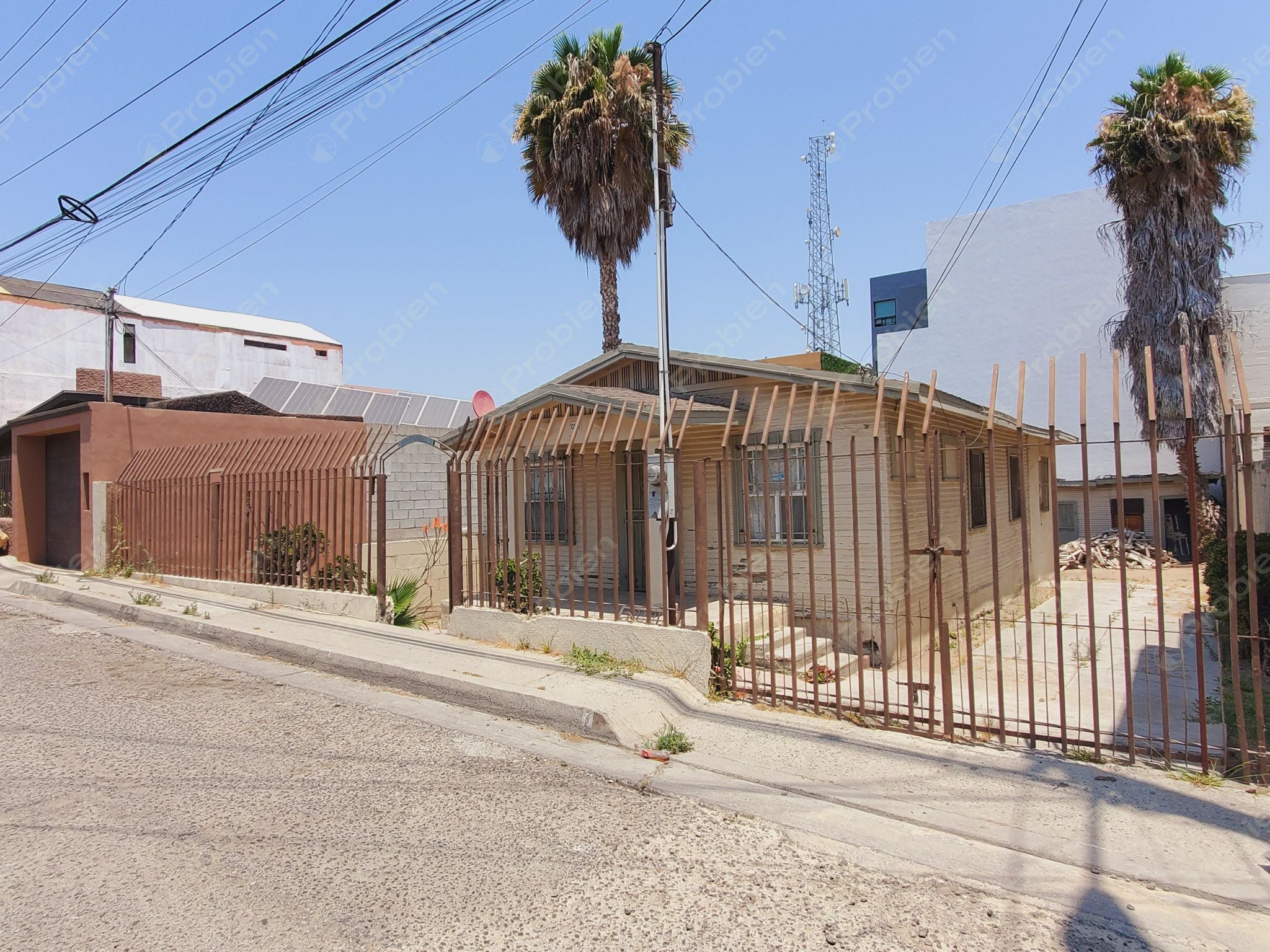 Local en Renta - En la Mesa - Foto 5 de 11