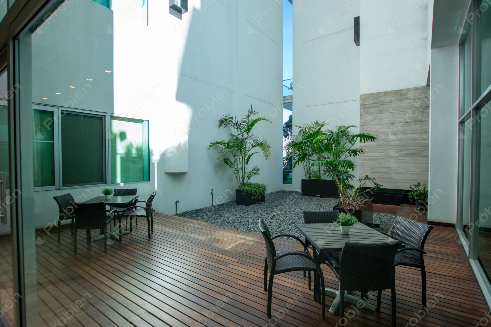 Departamento en renta en Horizonte Hipódromo frente al Campo Campestre de Tijuana - Foto 20 de 23