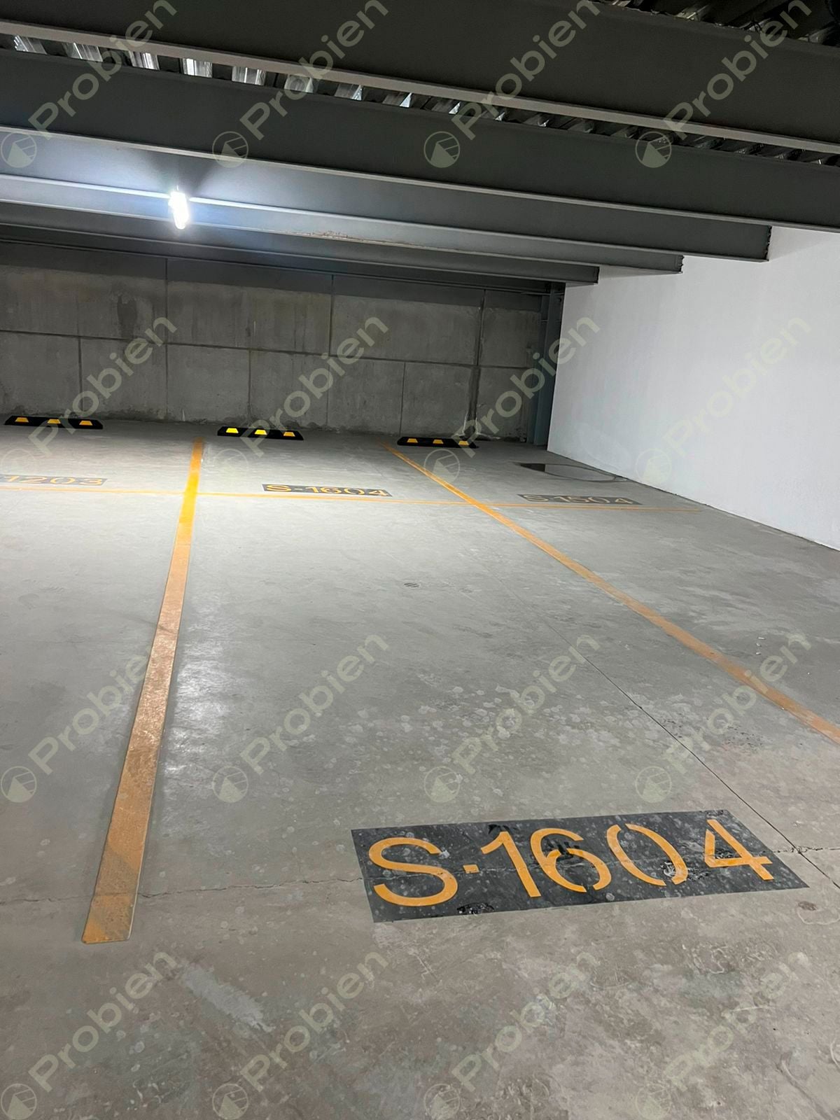 Departamento en Renta - Sie7e Zona Centro - Foto 10 de 13