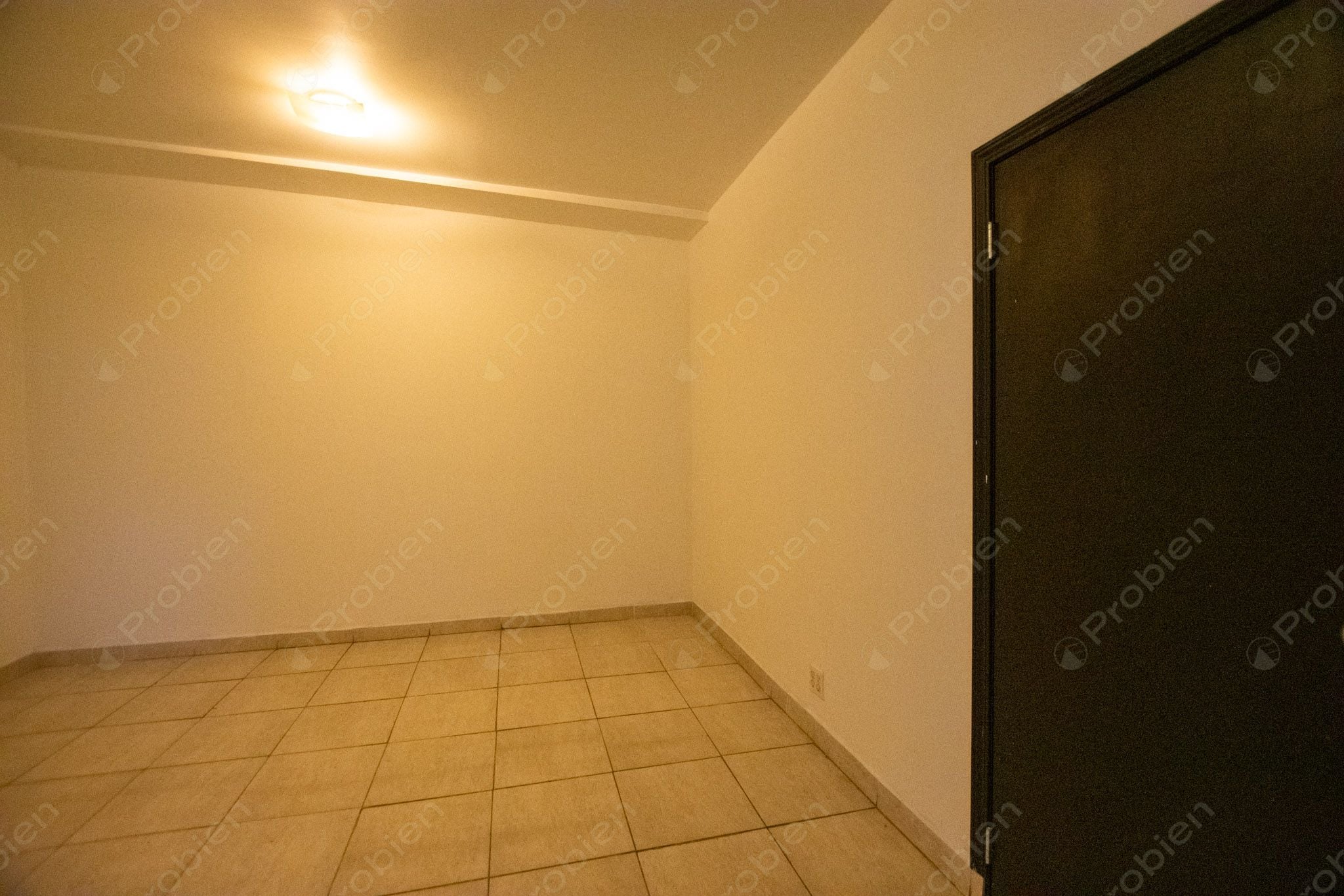 Bodega / Local en Renta sobre Vialidad Principal en Otay – 400 m² con Gran Potencial Comercial - Foto 14 de 16