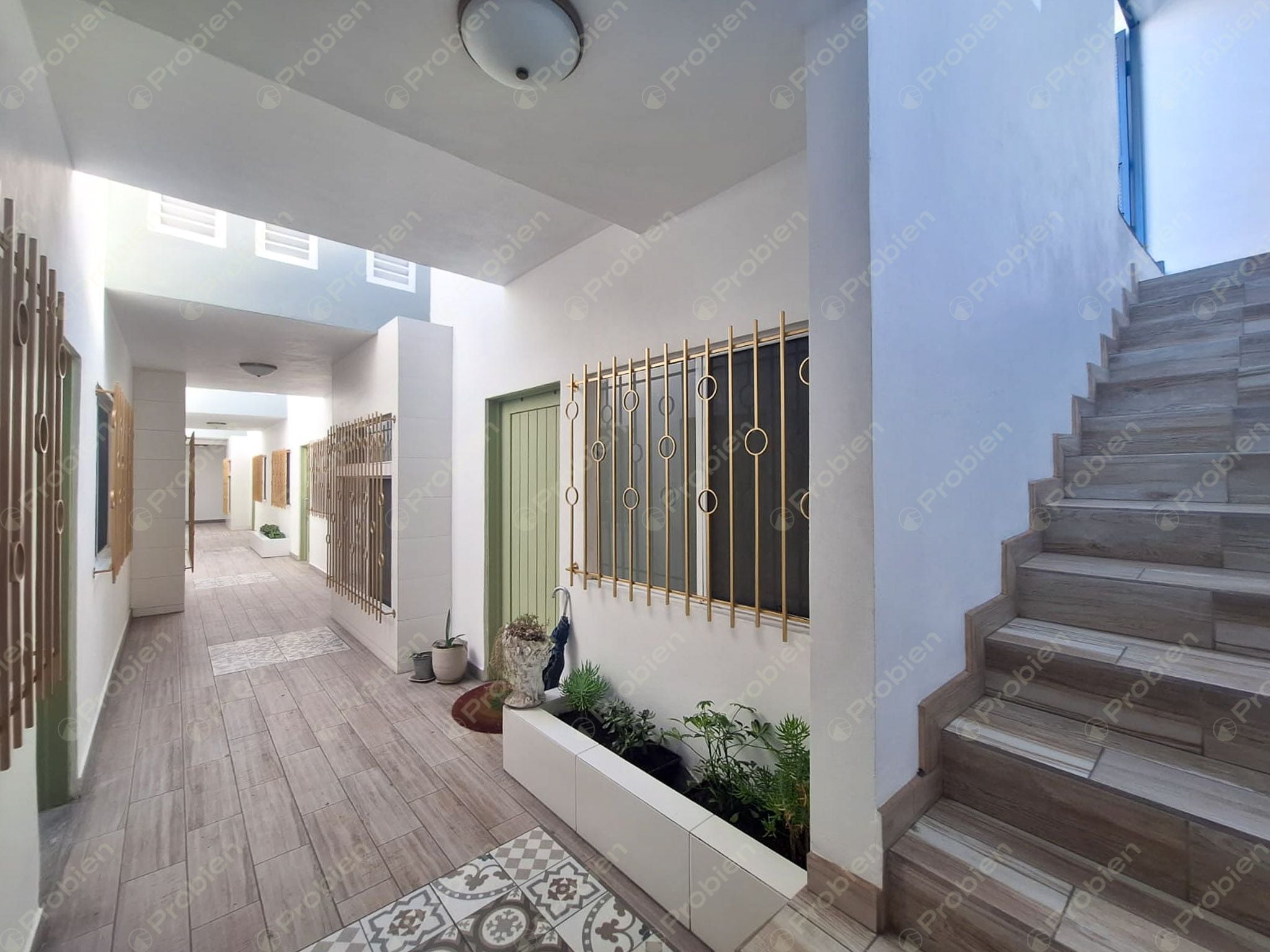 Departamento en Renta en Zona Centro Calle Segunda - Foto 2 de 10