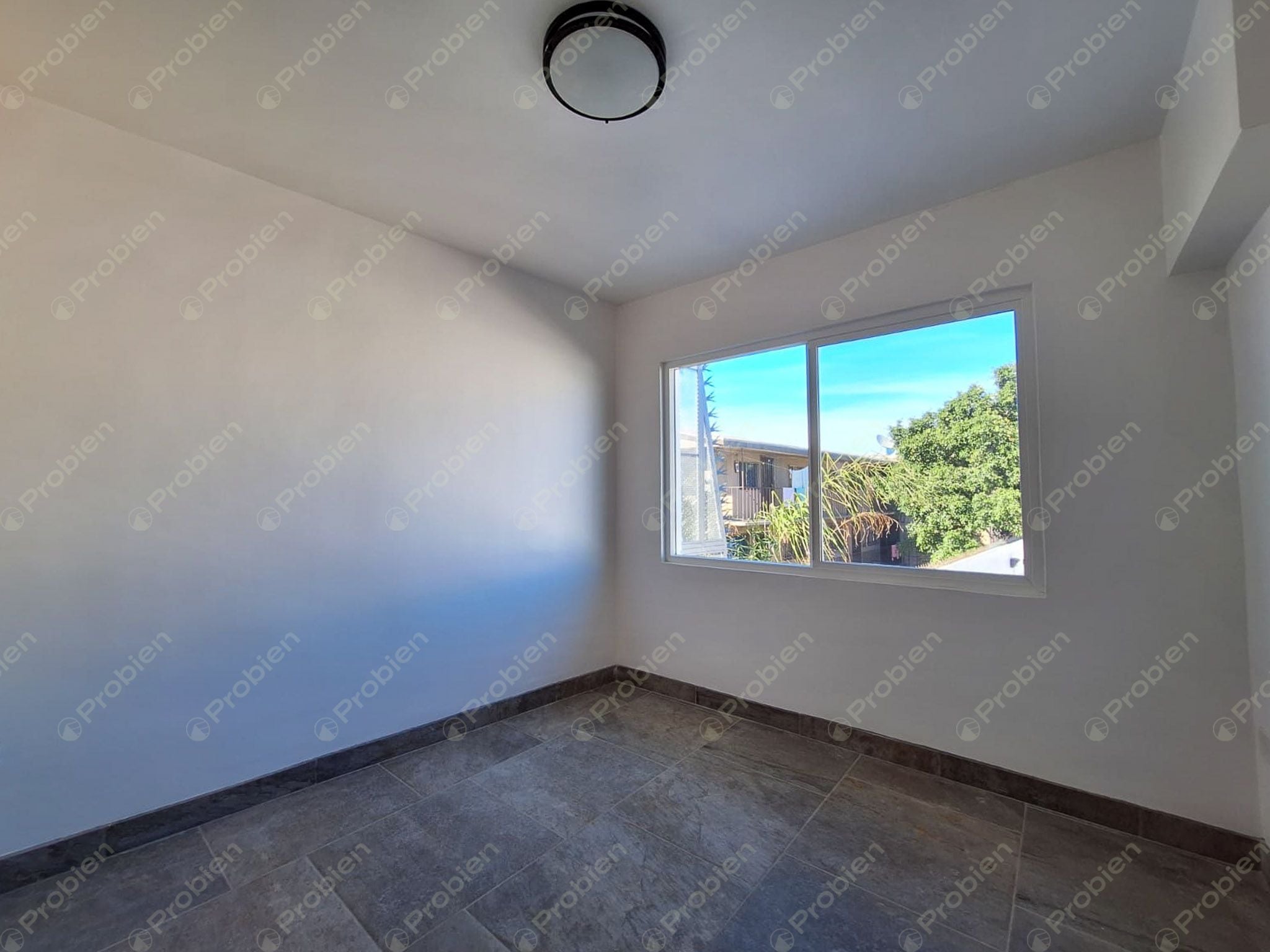 Departamento en Renta en Zona Centro Calle Segunda - Foto 5 de 10