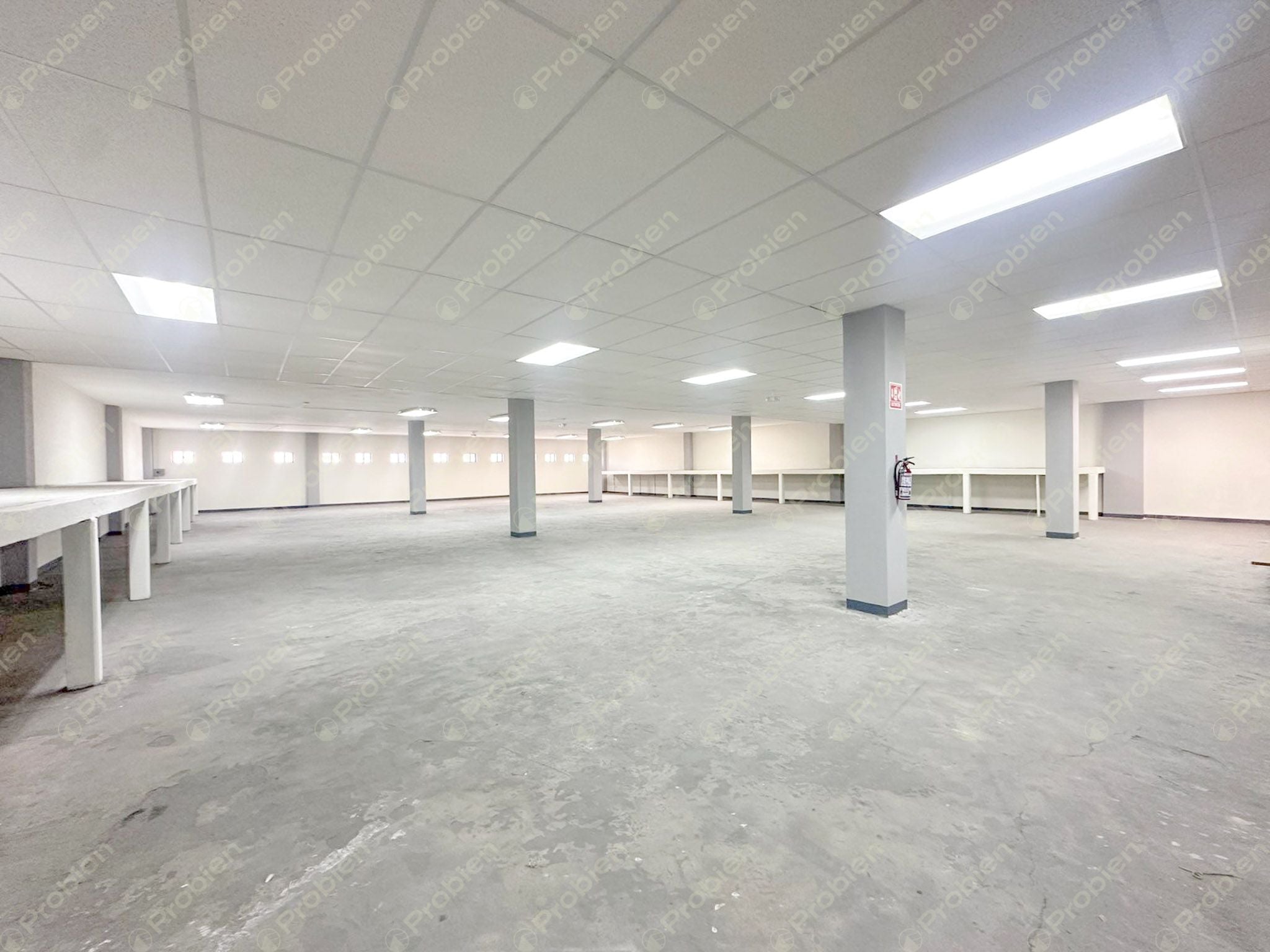 Local Comercial en Renta sobre Paseo Playas de Tijuana – Alta Visibilidad y 1,200 m² - Foto 17 de 19