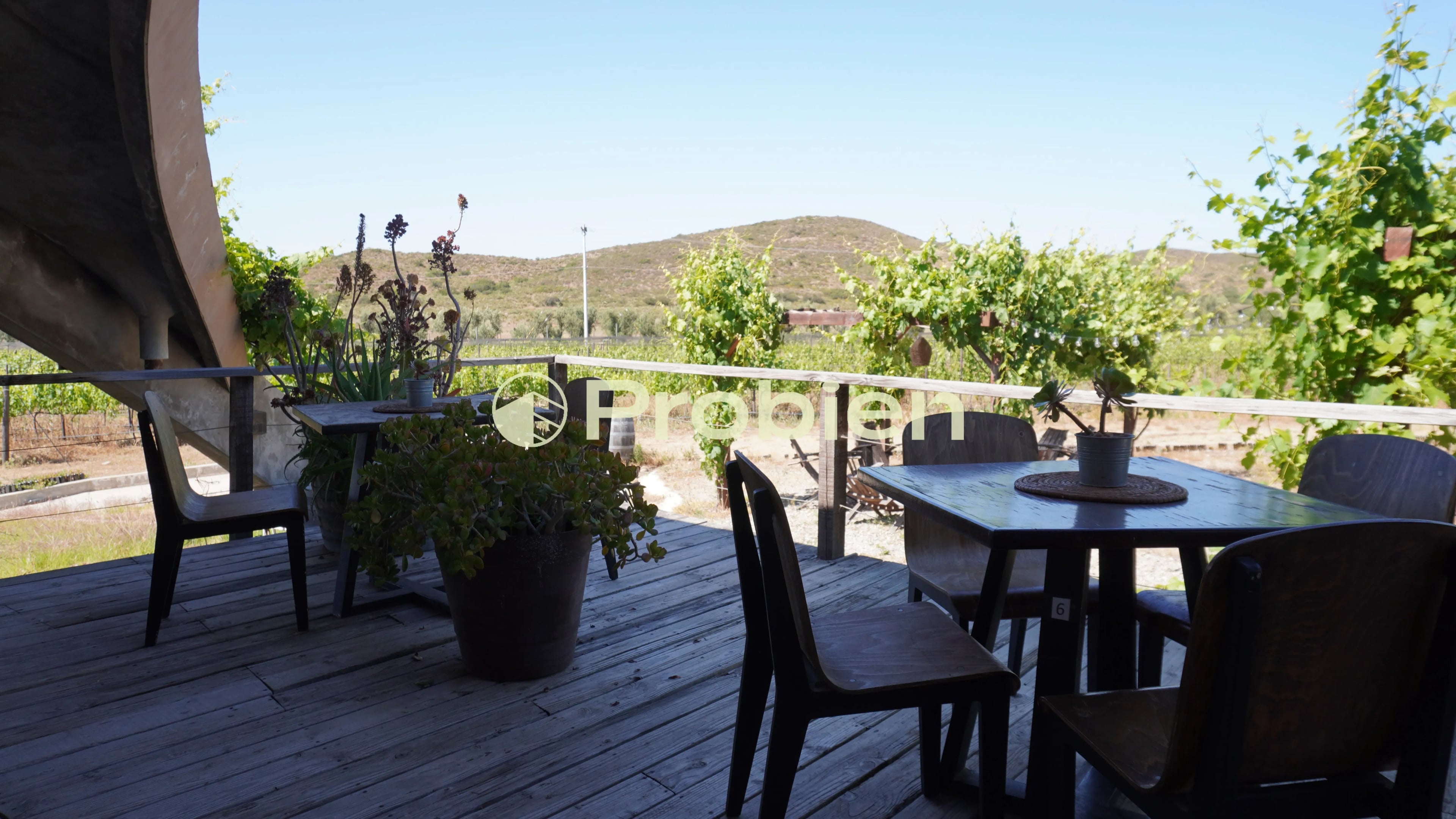 Vinicola en Venta - Valle de Guadalupe - Foto 8 de 17