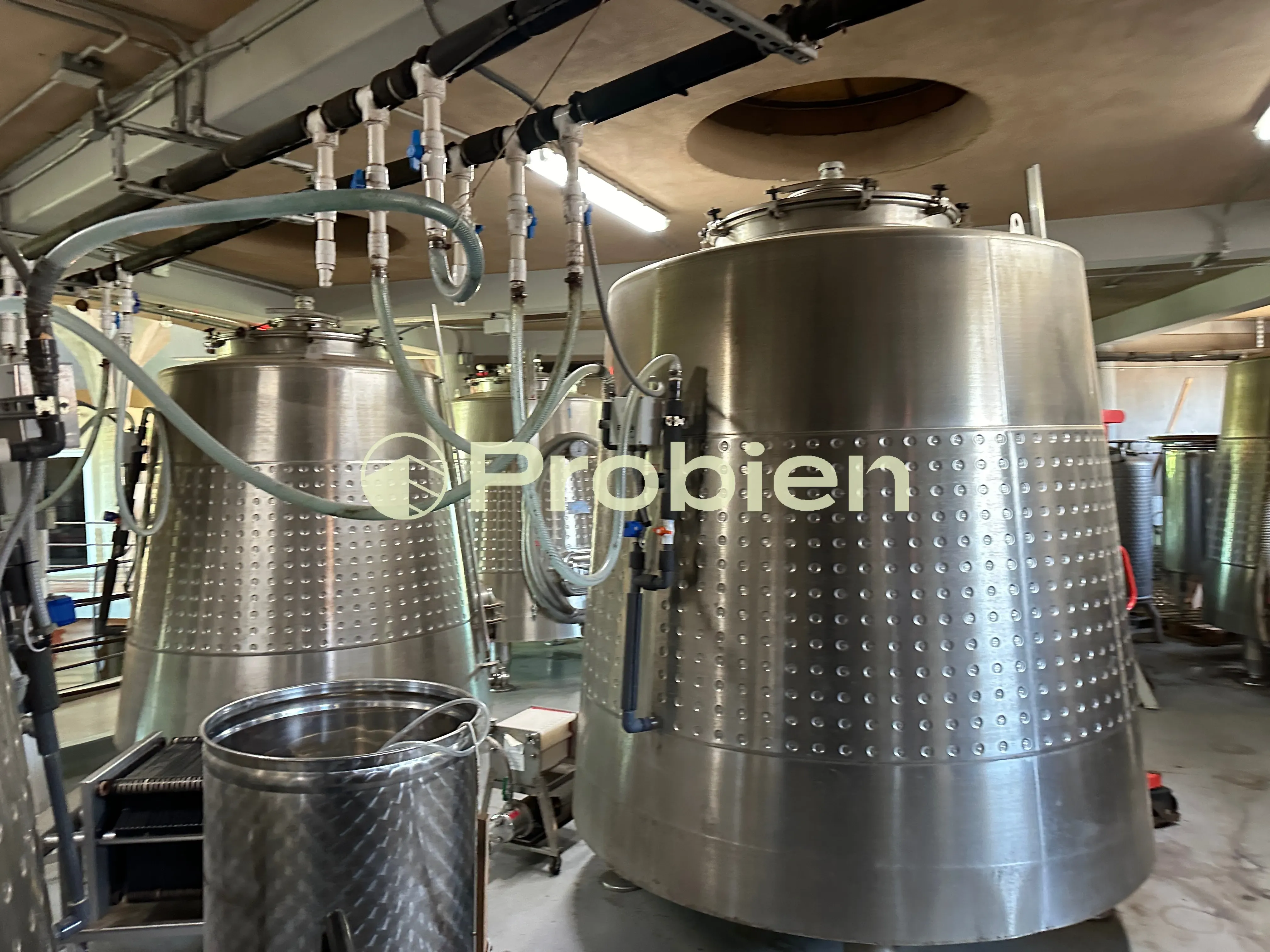 Vinicola en Venta - Valle de Guadalupe - Foto 12 de 17