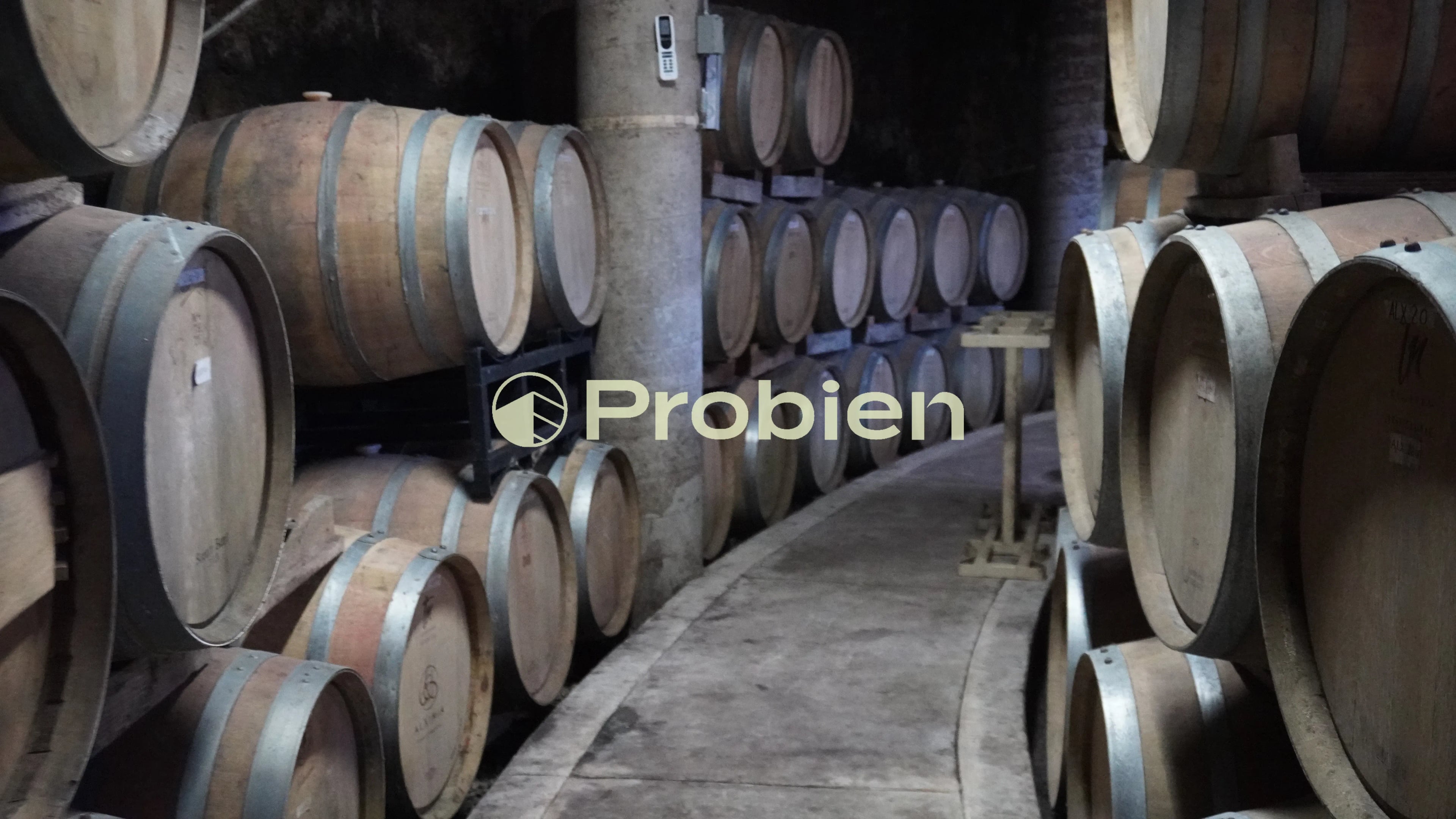 Vinicola en Venta - Valle de Guadalupe - Foto 14 de 17