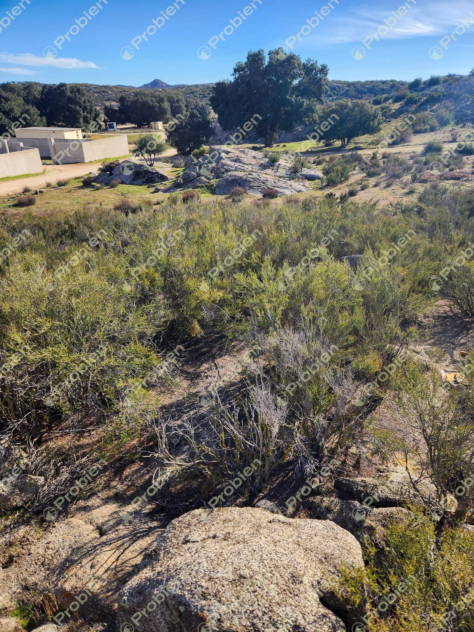 Terreno en Venta - 1000m² en El Encinal Ideal para casa de Campo - Foto 8 de 11