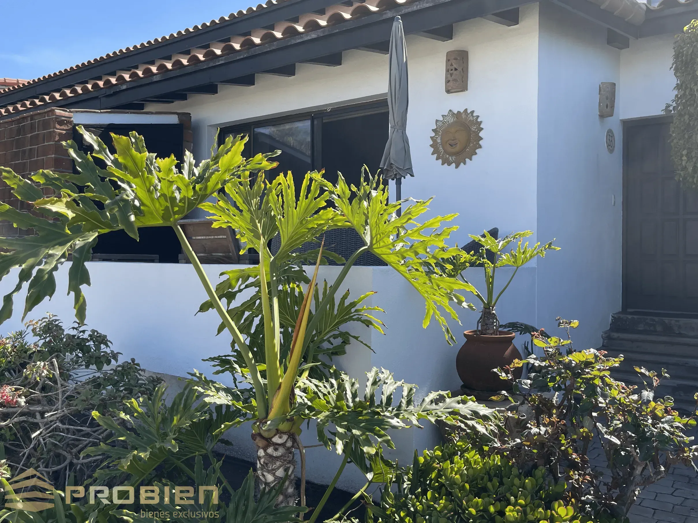 Casa en Venta - La Paloma Rosarito - Foto 8 de 15