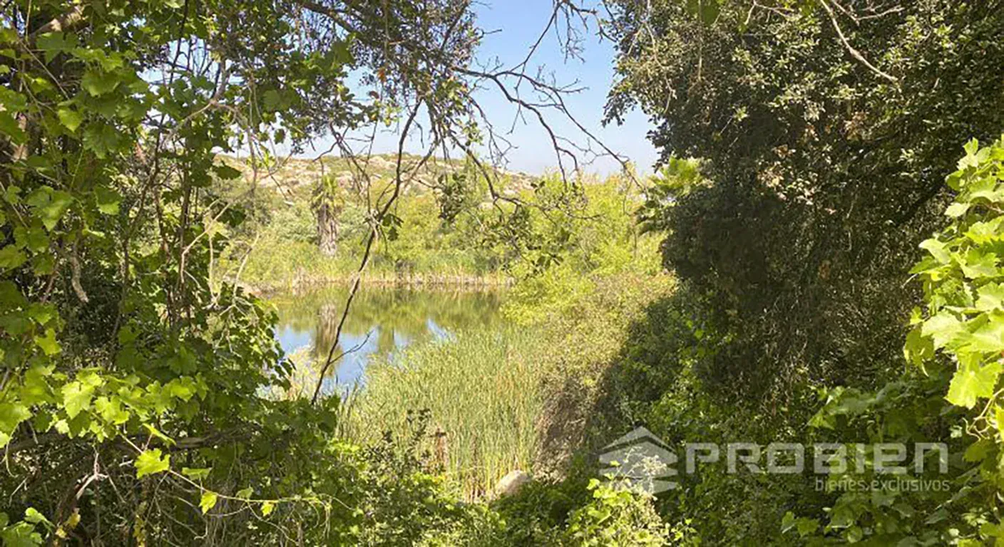 Terreno Residencial en Venta - Rancho Tecate - Foto 3 de 7