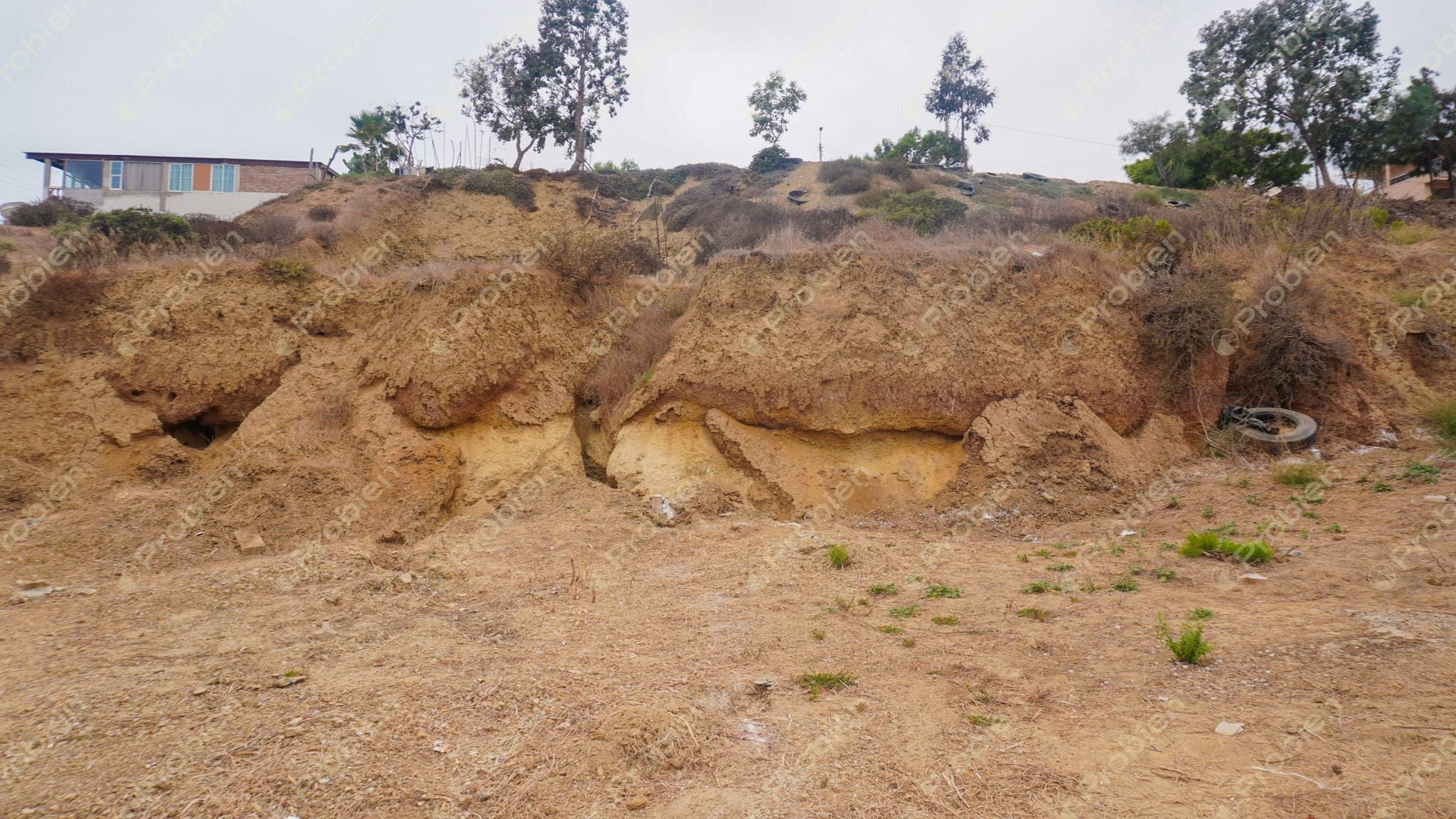 Terreno en Venta en Puerto Nuevo - Foto 4 de 7