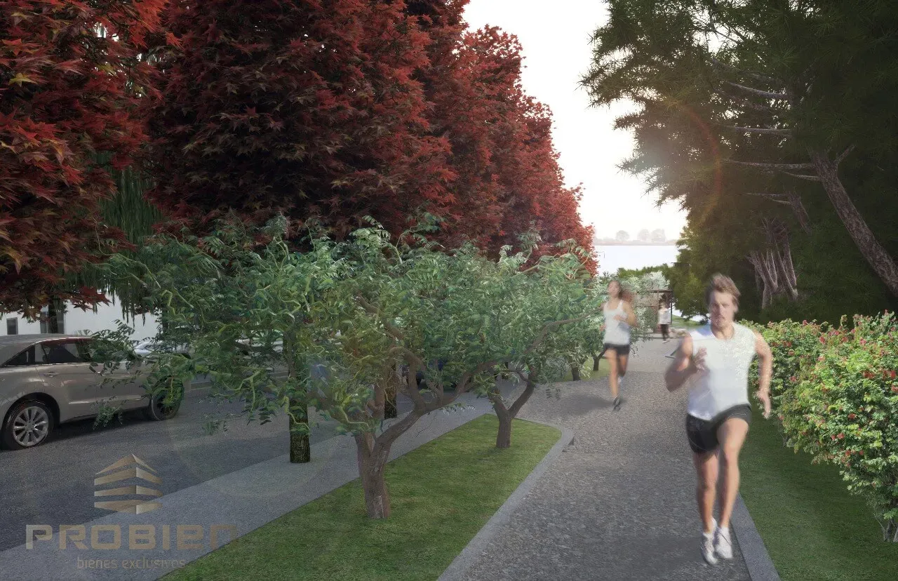 Casas en Venta - Entrenubes - Foto 6 de 6