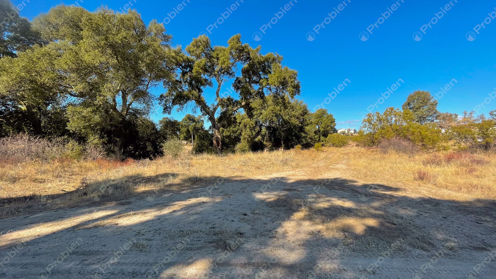 Terreno en Venta en Rancho Santa Verónica – 3,357 m² de Naturaleza y Tranquilidad - Foto 4 de 10