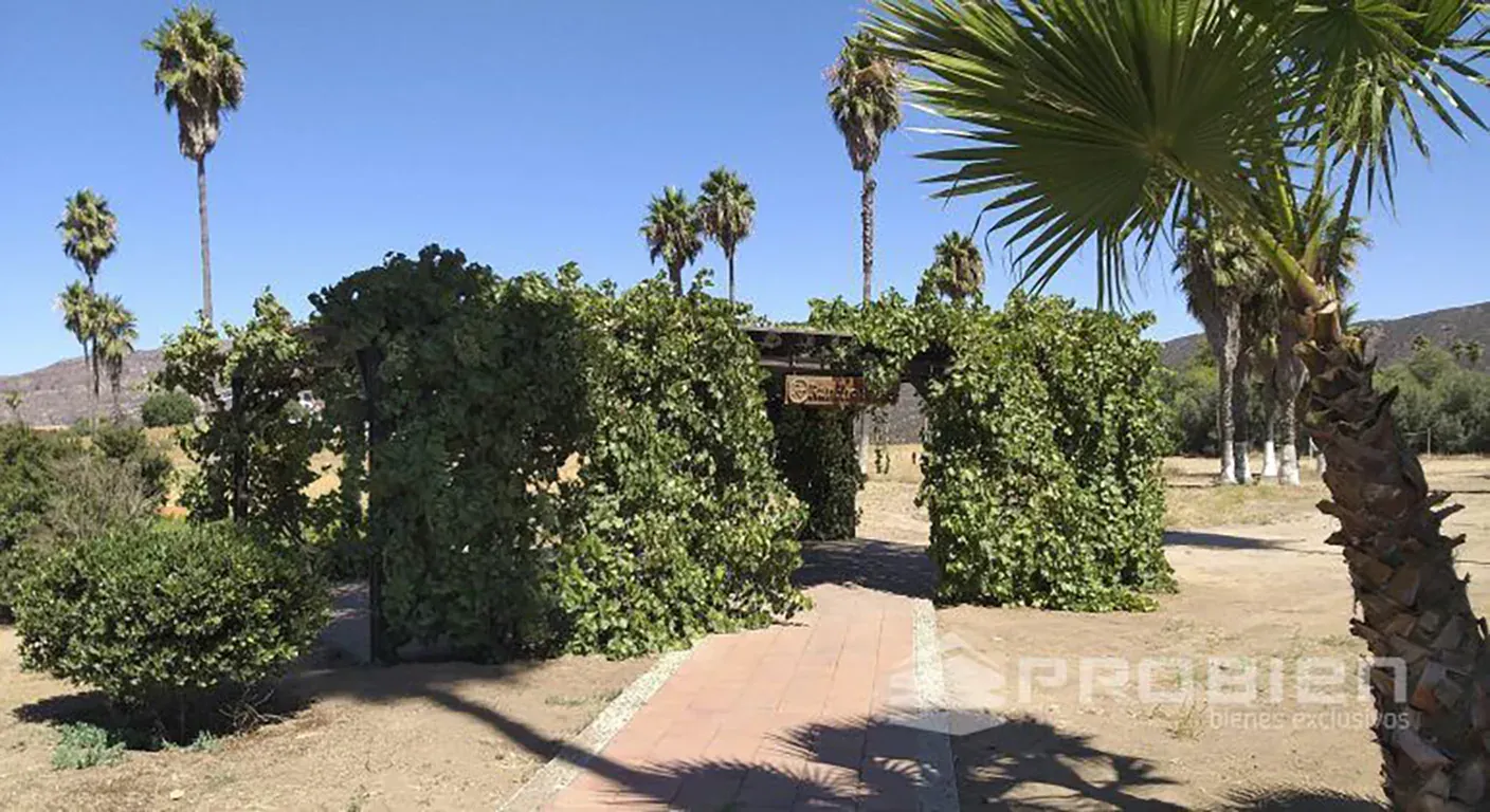 Terreno Residencial  Venta - Rancho Tecate - Foto 5 de 14