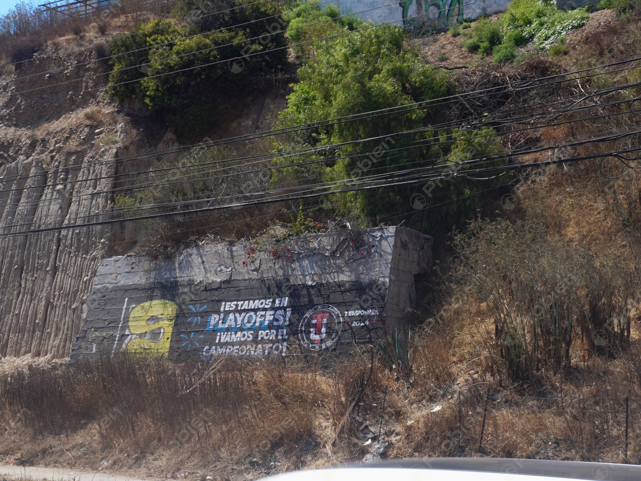 Terreno Comercial en Venta - Blvd Fundadores  - Foto 4 de 5