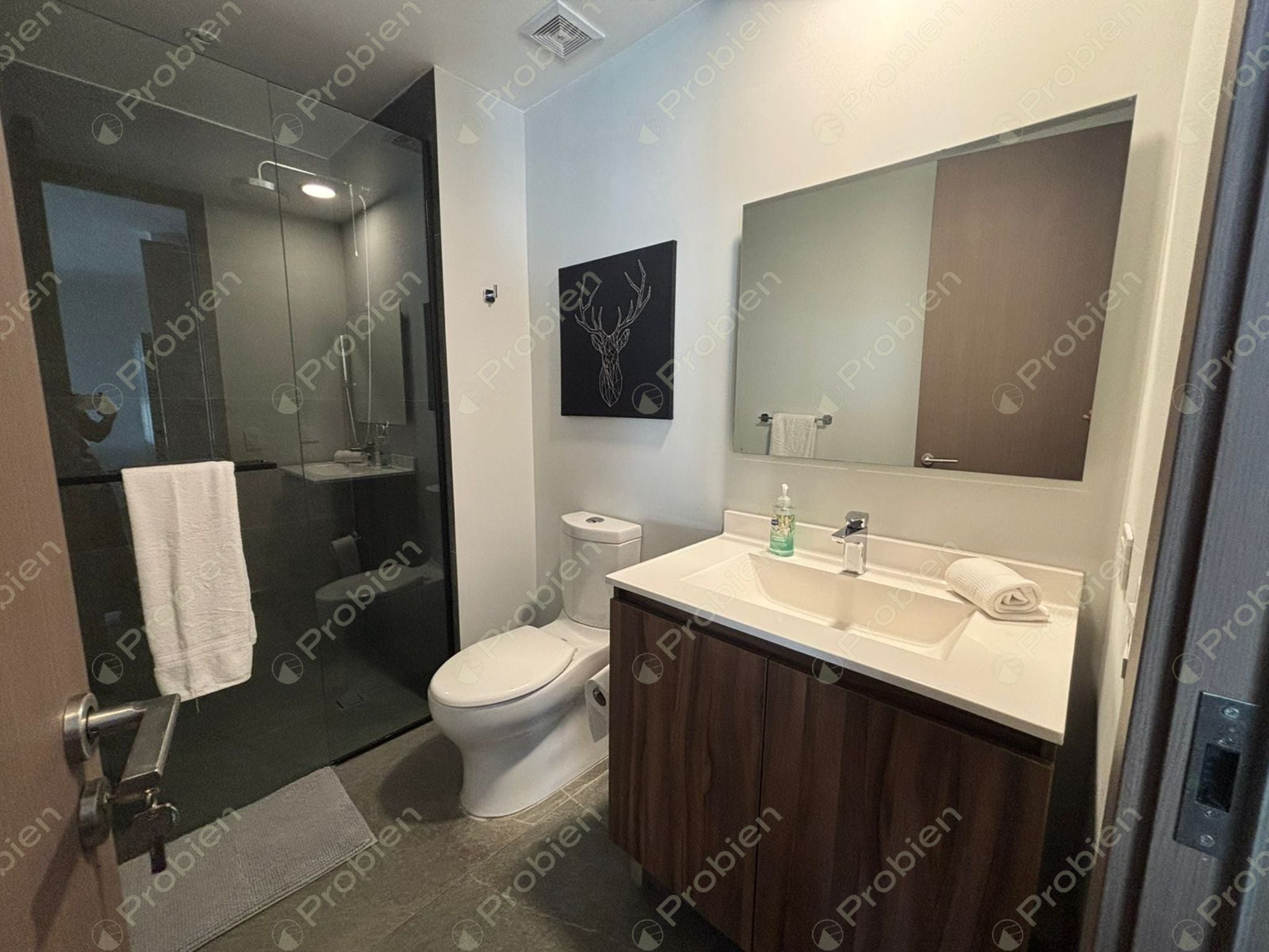 Departamento Amueblado en Renta o Venta en Torre Luzia –  Plaza Península - Foto 8 de 8