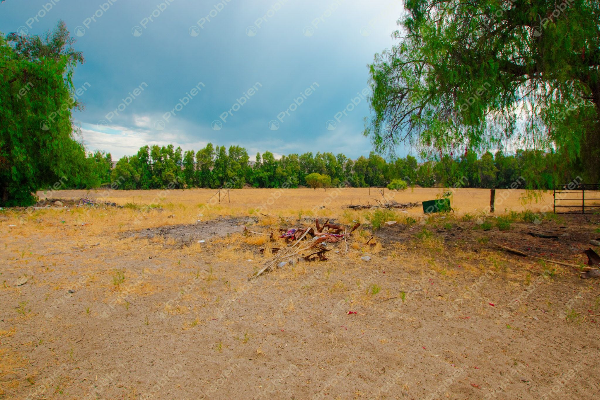 Terreno en Venta en Valle de las Palmas, Tecate – A Pie de Carretera con Potencial Industrial y Habitacional - Foto 6 de 13